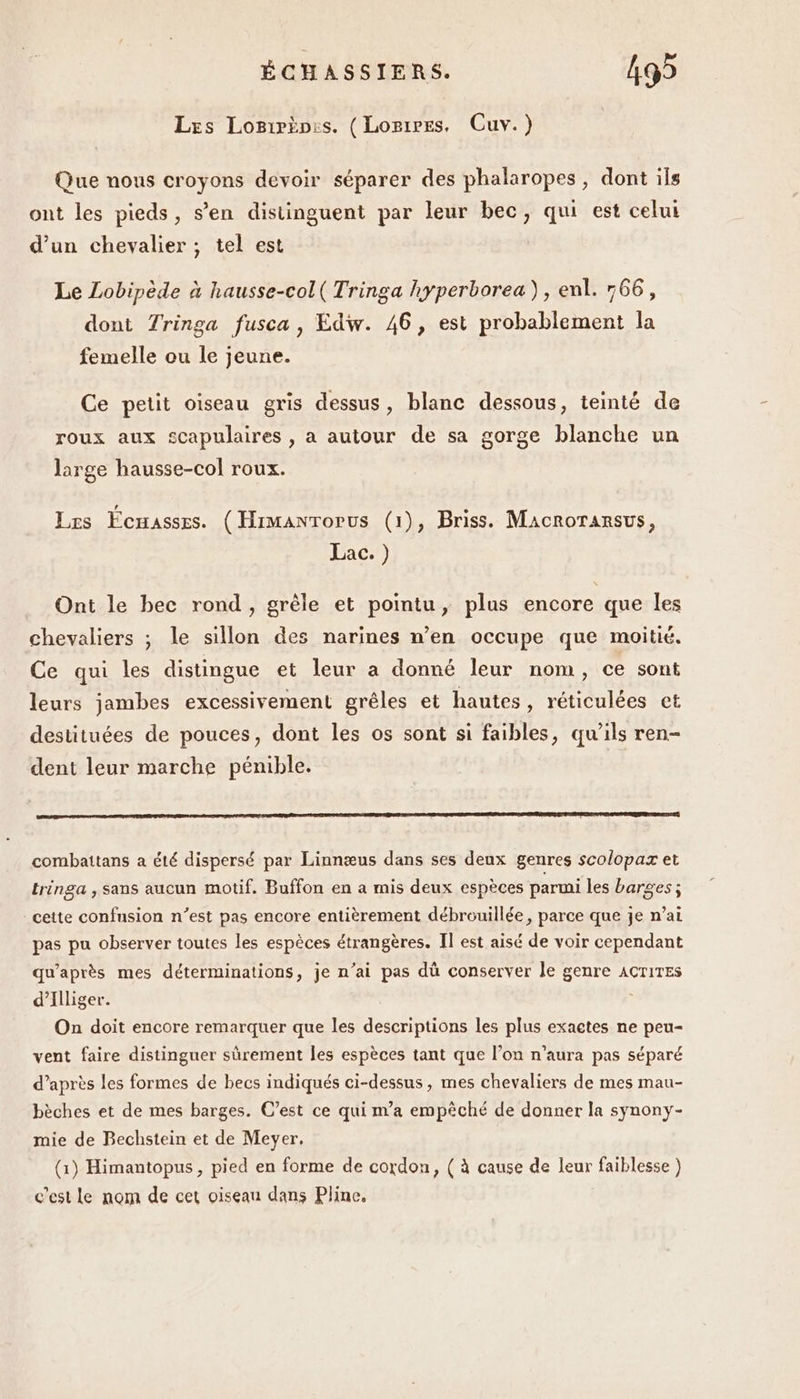 Les Logrràp:s. ( Loripes. Cuv.) Que nous croyons devoir séparer des phalaropes, dont ils ont les pieds, s’en distinguent par leur bec, qui est celui d’un chevalier ; tel est Le Lobipède à hausse-col( Tringa hyperborea), enl. 566, dont Tringa fusca, Edw. 46, est probablement la femelle ou le jeune. Ce petit oiseau gris dessus, blanc dessous, teinté de roux aux scapulaires , a autour de sa gorge blanche un large hausse-col roux. Les Fcmasses. (Himantorus (1), Briss. Macrorarsus, Lac.) Ont le bec rond, grêle et pointu, plus encore que les chevaliers ; le sillon des narines n’en occupe que moitié. Ce qui les distingue et leur a donné leur nom, ce sont leurs jambes excessivement grêles et hautes, réticulées et destituées de pouces, dont les os sont si faibles, qu’ils ren- dent leur marche pénible. RPG EN CT EEE AE BSINEN RAC RD EEE RER PRE RER ETRERS LFP RDC ET 27 PET EE EEE DE TES combattans a été dispersé par Linnæus dans ses deux genres scolopax et tringa , sans aucun motif. Buffon en a mis deux espèces parmi les barges; cette confusion n’est pas encore entièrement débrouillée, parce que je n’ai pas pu observer toutes les espèces étrangères. Il est aisé de voir cependant qu'après mes déterminations, je n’ai pas dû conserver le genre ACTITES d’Illiger. On doit encore remarquer que les descriptions les plus exactes ne peu- vent faire distinguer sûrement les espèces tant que l’on n'aura pas séparé d’après les formes de becs indiqués ci-dessus, mes chevaliers de mes mau- bèches et de mes barges. C’est ce qui m'a empêché de donner la synony- mie de Bechstein et de Meyer. (1) Himantopus, pied en forme de cordon, ( à cause de leur faiblesse ) c’est Le nom de cet oiseau dans Pline.