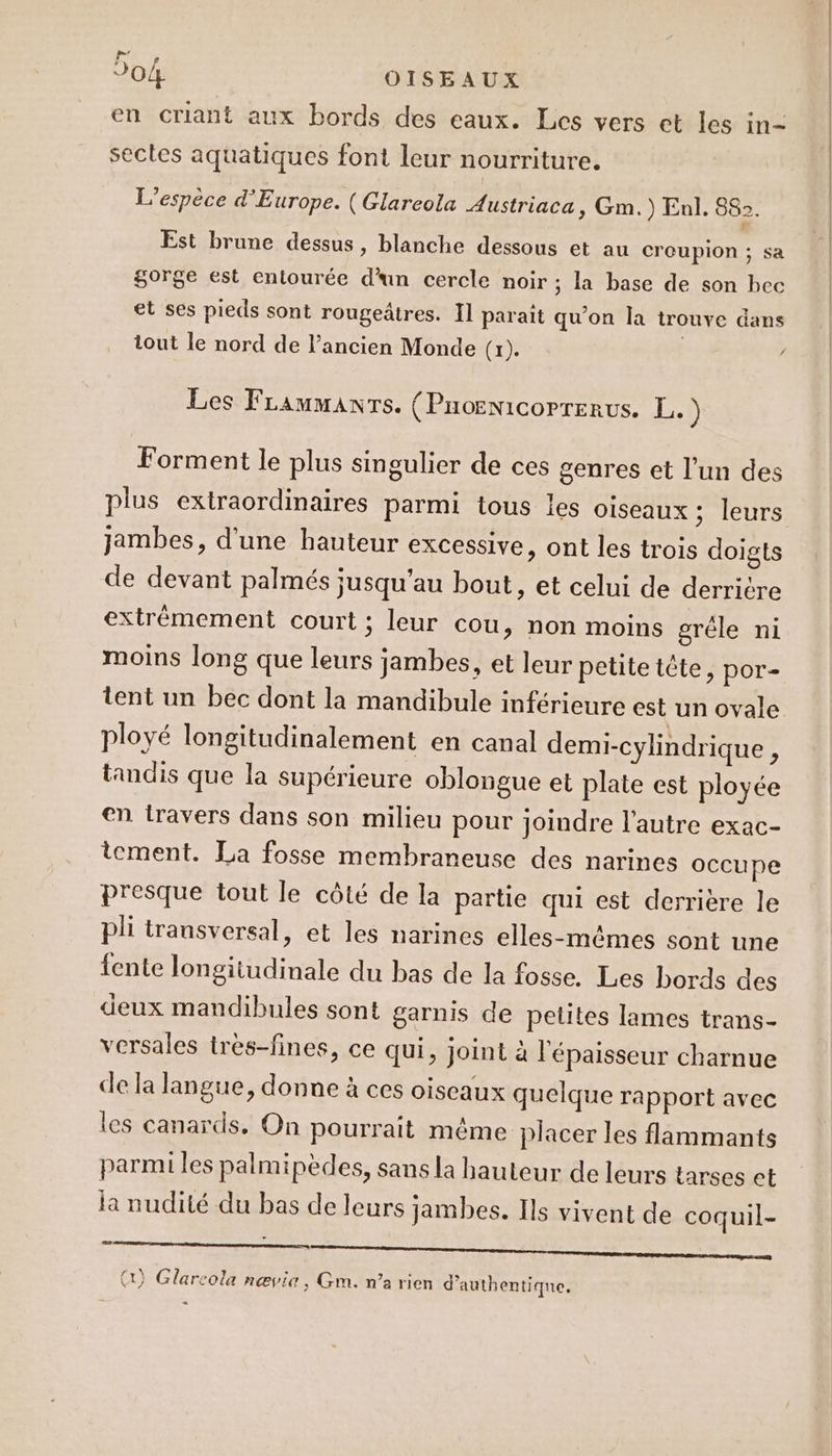 PLU 204 OISEAUX en criant aux bords des eaux. Les vers et les in- sectes aquatiques font leur nourriture. L'espèce d'Europe. (Glareola Austriaca &gt; Gm.) Enl. 882. Est brune dessus, blanche dessous et au creupion ; sa gorge est entourée d'un cercle noir ; la base de son hec et ses pieds sont rougeâtres. Il parait qu'on la trouve dans tout le nord de l’ancien Monde (x). : . Les FLammanrs. (Pnoenicoprerus. L.) Forment le plus singulier de ces genres et l’un des plus extraordinaires parmi tous les oiseaux ; leurs jambes, d'une hauteur excessive, ont les trois doigts de devant palmés jusqu'au bout, et celui de derrière extrémement court ; leur cou, non moins grêle ni moins long que leurs jambes, et leur petite tête, por- tent un bec dont la mandibule inférieure est un ovale ployé longitudinalement en canal demi-cylindrique , tandis que la supérieure oblongue et plate est ployée en travers dans son milieu pour Joindre l’autre exac- tement. La fosse membraneuse des narines occupe presque tout le côté de la partie qui est derrière le pli transversal, et les narines elles-mêmes sont une fente longitudinale du bas de la fosse. Les bords des deux mandibules sont garnis de petites lames trans- versales très-fines, ce qui, joint à l'épaisseur charnue de la langue, donne à ces oiseaux quelque rapport avec les canards. On pourrait même placer les flammants parmi les palmipèdes, sans la hauteur de leurs tarses et la nudité du bas de leurs jambes. Ils vivent de coquil- UT CU NE RS s f (1) Glarcola nævia, Gm. n’a rien d’authentiqne. .