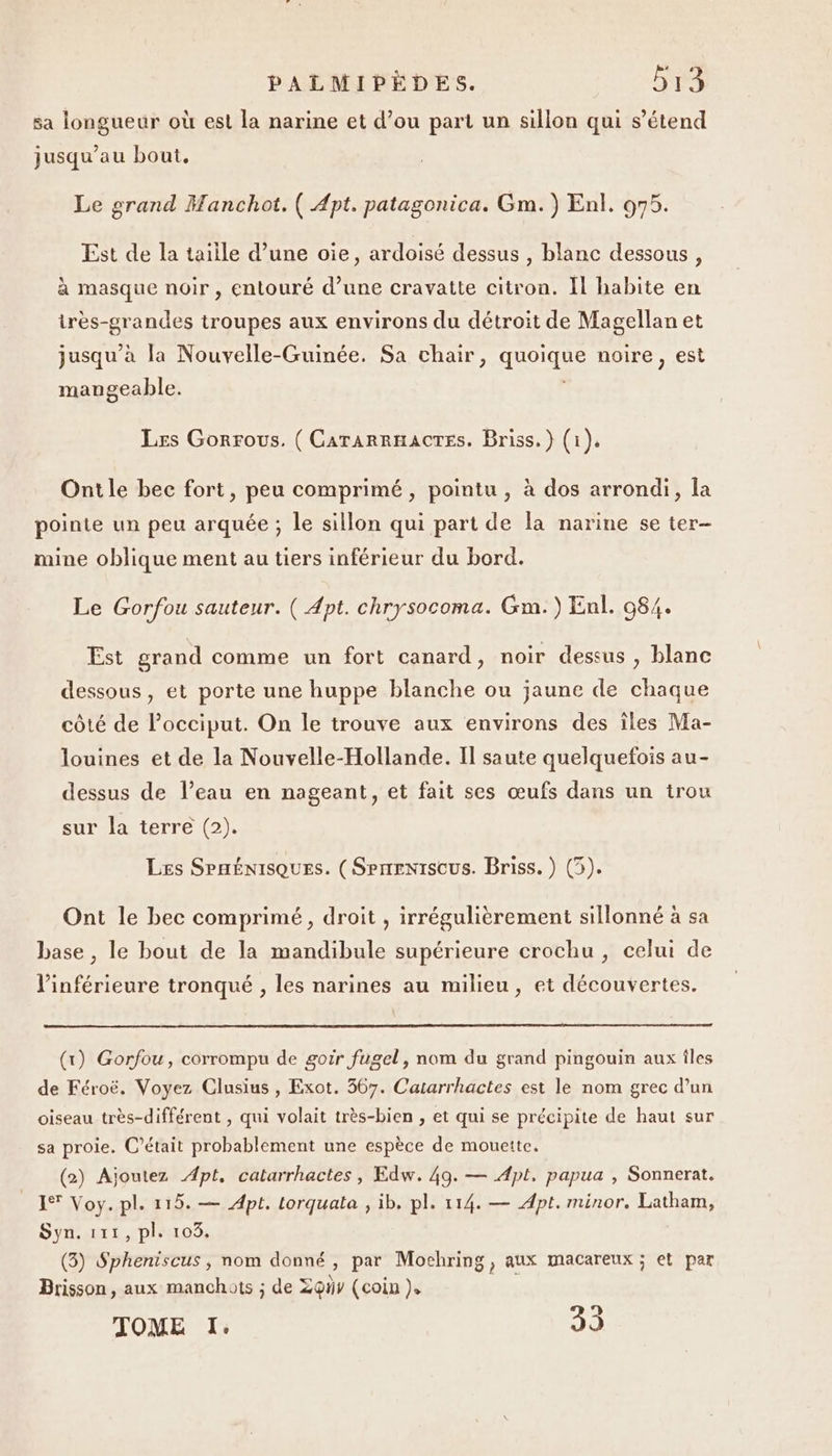 sa longueur où est la narine et d’ou part un sillon qui s’étend jusqu’au bout, Le grand Manchot. ( Apt. patagonica. Gm. ) Enl. 075. Est de la taille d’une oie, ardoisé dessus , blanc dessous, à masque noir , entouré d’une cravatte citron. Il habite en irès-grandes troupes aux environs du détroit de Magellan et jusqu’à la Nouvelle-Guinée. Sa chair, quoique noire, est maugeable. Les Gorrous. ( CararRHACTEs. Briss.} (1), Ontle bec fort, peu comprimé, pointu, à dos arrondi, la pointe un peu arquée ; le sillon qui part de la narine se ter- mine oblique ment au tiers inférieur du bord. Le Gorfou sauteur. ( Apt. chrysocoma. Gm.) Enl. 984. Est grand comme un fort canard, noir dessus , blanc dessous, et porte une huppe blanche ou jaune de chaque côté de l’occiput. On le trouve aux environs des îles Ma- louines et de la Nouvelle-Hollande. Il saute quelquefois au- dessus de l’eau en nageant, et fait ses œufs dans un trou sur la terre (2). Les SPHÉNisQUESs. ( Srmeniscus. Briss. ) (5). Ont le bec comprimé, droit , irrégulièrement sillonné à sa base , le bout de la mandibule supérieure crochu , celui de l’inférieure tronqué , les narines au milieu, et découvertes. (tr) Gorfou, corrompu de goir fugel, nom du grand pingouin aux îles de Féroë. Voyez Clusius , Exot. 567. Catarrhactes est le nom grec d’un oiseau très-différent , qui volait très-bien , et qui se précipite de haut sur sa proie. C’était probablement une espèce de mouette. (2) Ajoutez Apt, catarrhactes, Edw. 49. — Apt, papua , Sonnerat. 1% Voy. pl. 115. — Apt. torquata , ib. pl. 114. — Apt. minor. Latham, Syn. 111, pl. 103. (3) Spheniscus, nom donné, par Mocbring, aux macareux ; et par Brisson, aux manchots ; de Zoÿy (coin ), TOME I. 0