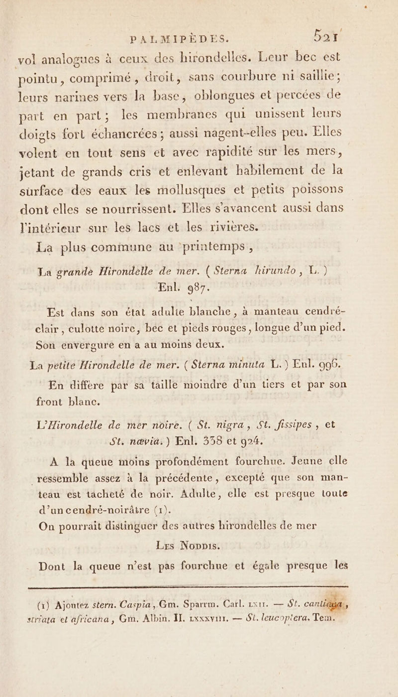 vol analogues à ceux des hirondelles. Leur bec est pointu, comprimé , droit, sans courbure ni saillie; leurs rarines vers la base, oblongues et percées de part en part; les membranes qui unissent leurs doigts fort échancrées ; aussi nagent-elles peu. Elles volent en tout sens et avec rapidité sur les mers, jetant de grands cris et enlevant habilement de la surface des eaux les mollusques et petits poissons dont elles se nourrissent. Elles s'avancent aussi dans l'intérieur sur les lacs et les rivières. La plus commune au printemps, La grande Hirondelle de mer. ( Sterna hirundo, L.) Enl. 987. Est dans son état adulie blanche , à manteau cendré- clair, culotte noire, béc et pieds rouges, longue d’un pied. Son envergure en a au moins deux. La petite Hirondelle de mer. ( Sterna minuta L.) Enl. 906. En différe par sa taille moindre d’un tiers et par son front blanc. L’Hirondelle de mer noire. ( St. nigra, St. fissipes , et St. nœvid.) Enl. 358 et 924. À la queue moins profondément fourchue. Jeune elle _ ressemble assez à la précédente, exceplé que son man- teau est tacheté de noir. Adulte, elle est presque toute d’un cendré-noirâtre (1). On pourrait distinguer des autres hirondelles de mer Lrs Nopnis. Dont la queue n’est pas fourchue et égale presque les (1) Ajoutez stern. Caspia, Gm. Sparrm. Carl. 1x1. — 19. cani DT, siriata et africana, Gm. Albin. IT, rxxxvur, — Si. leucoptera. Tem.