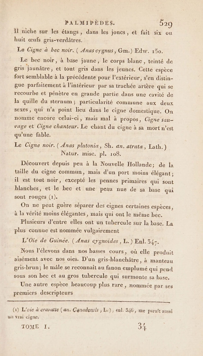 Xl niche sur les étangs, dans les joncs , et fait six ou huit œufs gris-verdâtres. Le Cigne à bec noir. ( Anas cygnus, Gm.) Edw. 150. Le bec noir, à bise jaune, le corps blanc, teinté de gris jaunâtre, et tout gris dans les Jeunes. che espèce fort semblable à la précédente pour l'extérieur, s’en distin- gue parfaitement à l’intérieur par sa trachée artère qui se recourbe et pénètre en grande partie dans une cavité de la quille du sternum; particularité commune aux deux sexes, qui n'a point lieu dans le cigne domestique. On nomme encore celui-ci, mais mal à propos, Cigne sau- vage et Cigne chanteur. Le chant du cigne à sa mort n’est qu'une fable. Le Cigne noir. ( Anas plutonia, Sh. an, atrata, Lath.) Natur. mise. pl, 108. Découvert depuis peu à la Nouvelle Hollande; de la taille du cigne commun, mais d’un port moins élégant ; il est tout noir, excepté les pennes primaires qui sont blanches, et le bec et une peau nue de sa base qui sont rouges (1). On ne peut guère séparer des cignes certaines espèces, à la vérité moins élégantes, mais qui ont le même bec. Plusieurs d’entre elles ont un tubercule sur la base. La plus connue est nommée vulgairement L’Oie de Guinee. ( Anas cygnoïdes , L.) Enl. 347. Nous l’élevons dans nos basses cours, où elle produit aisément avec nos oies. D’un gris-blanchâtre, à manteau gris- -brun; le mâle se reconnaît au fanon emplumé qui pend sous son ie et au gros tubercule qui surmonte sa base. Une autre espèce beaucoup plus rare , nommée par ses premiers descripteurs a ———————— (1) L'oie à cravate (an, Canadensis , L.), enl. 346, me paraît aussi un vrai cign£; TOME I, 31