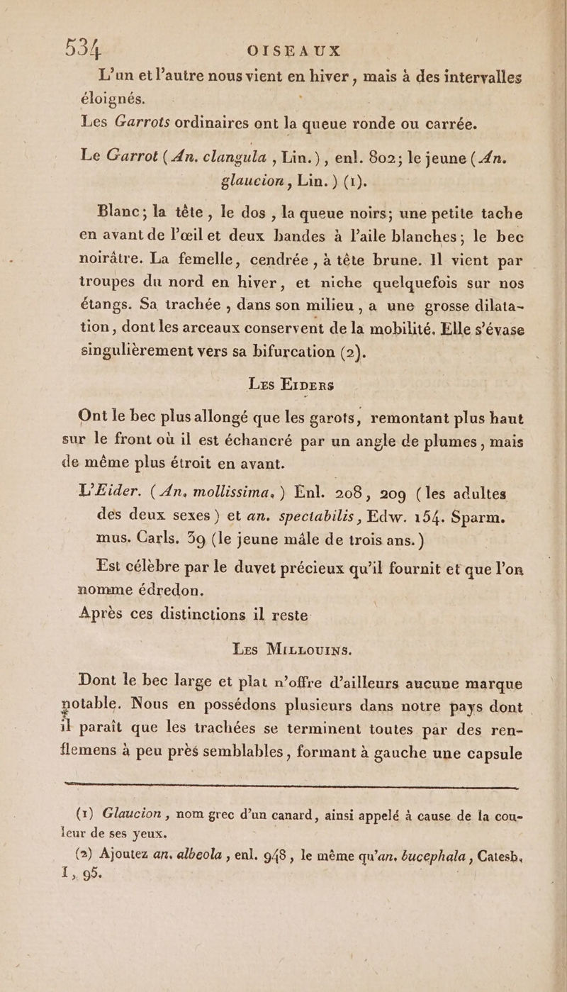 L’un et l’autre nous vient en hiver , mais à des intervalles éloignés. Les Garrots ordinaires ont la queue ronde ou carrée. Le Garrot (An. clangula » Lin.) , enl. 802; le jeune ( 4n. glaucion, Lin.) (1). Blanc; la tête, le dos , la queue noirs; une petite tache en avant de l'œil et deux bandes à l’aile blanches; le bec iroupes du nord en hiver, et niche quelquefois sur nos étangs. Sa trachée , dans son milieu , a une grosse dilata- tion, dont les arceaux conservent de la mobilité. Elle s’évase singulièrement vers sa bifurcation (2). Les Erpers Ont le bec plus allongé que les garots, remontant plus haut sur le front où il est échancré par un angle de plumes , mais de même plus étroit en avant. L'Eider. (An. mollissima. ) Enl. 208, 209 (les adultes des deux sexes) et an. spectabilis, Edw. 154. Sparm. mus. Carls. 39 (le jeune mâle de trois ans.) Est célèbre par le duvet précieux qu’il fournit et que l’on nomme édredon. Après ces distinctions il reste Les MiczLourxs. Dont le bec large et plat n’offre d’ailleurs aucune marque otable. Nous en possédons plusieurs dans notre pays dont il paraît que les trachées se terminent toutes par des ren- flemens à peu près semblables, formant à gauche une capsule ARE, (1) Glaucion , nom grec d’un canard, ainsi appelé à cause de la cou- leur de ses yeux. (2) Ajoutez an. albeola , enl. 948, le même qu’an. bucephala , Catesb, 1-0. |