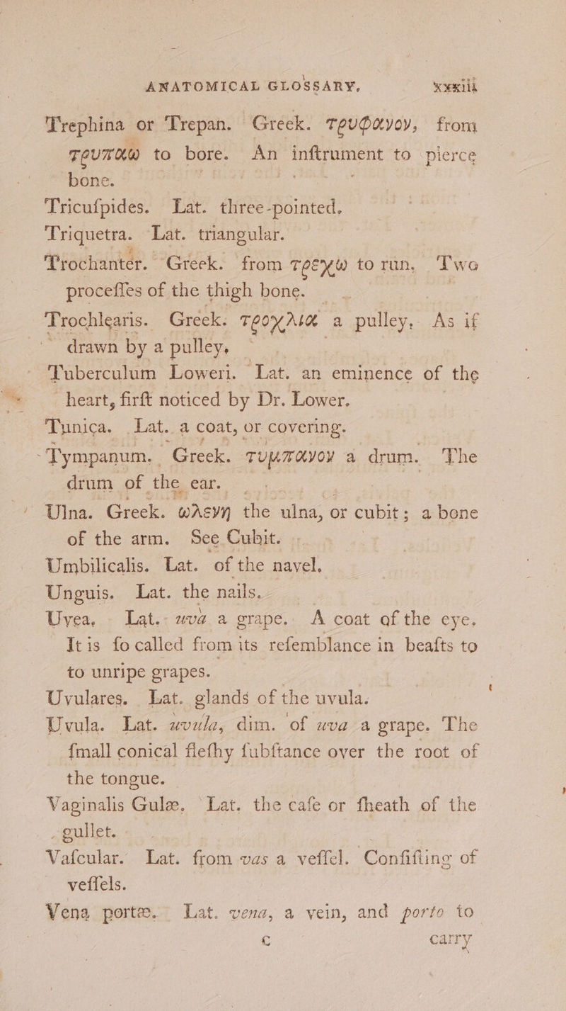 Drephina or ‘Trepan. Greek. TevPayoy, from T eum ot) to bore. An pe Solas to ‘pierce bone. : | Tricufpides. Lat. three-pointed, Triquetra. “Lat. triangular. Trochanter. Greek. from TEXW to run, Two proceffes of the thigh bone. _ | _Trochiearis. Greek. TEOMA a pulley,. is if ~ drawn by a pulley, : Tuberculum Loweri. Lat. an eminence of the heart, firft noticed by Dr. Lower. Tunica. Lat. a coat, or covering. -Tympanum, Greek. TUM OYOY 4 drum. The drum of the ear. Ulna. Greek. “wasyy the: eee or cubit ; a bene of the arm. See Cubit. Umpbilicalis. Lat. ‘of the navel. Unguis. Lat. the nails. = Uvea. - Lat.: uva.a grape. A coat of the eye, It is fo called from its refemblance in beafts to to unripe grapes. . Uyulares. Lat. glands of the uvula. Uvula. Lat. wvula, dim. of uva a grape. The {mall conical flefhy fubftance over the root of the tongue. | | Vaginalis Gula, ‘Lat. the cafe or fheath of the . gullet. ; Doings Vafcular. Lat. from vas a veffel. Confifting of veflels. Vena porte.” Lat. vena, a vein, and porto to c carry