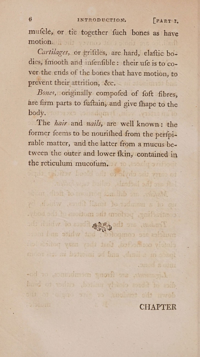 muf{cle, or tie eae) ‘fuch bones as have motion, .. | Cartilages,. or pif, are hans Ante bo- - dies, {mooth and infenfible: their ufe is to co- ver the ends of the bones that have motion, to prevent their attrition, &amp;c. Bones, originally compofed of foft fibres, are firm parts to — and give fhape to the body. . The hair and veil are well known: the former feems to be nourifhed from the peri{pi- rable matter, ‘and the latter from a mucus be- tween the outer and lower {kin, contained 1 in the reticulum mucolum,.. CHAPTER