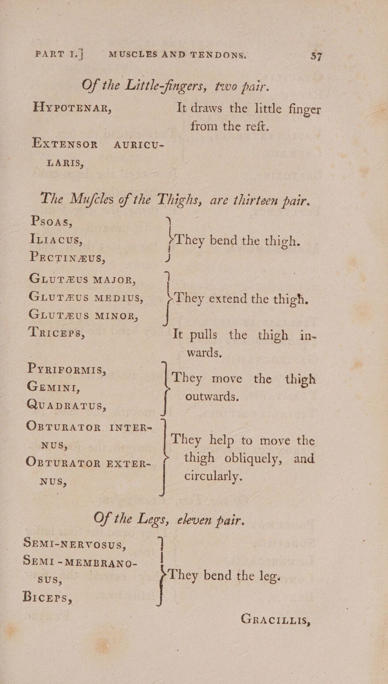 Of the Little-fingers, two pair. Hyporenar, It draws the little finger from the reft. EXTENSOR AURICU- LARIS, The Mufcles of the Thighs, are thirteen pair. Psoas, } ILiacus, hey bend the thigh, PECTIN2EUS, 3 GLUT XUS MAJOR, dl GLutTzus Mepivs, | }They extend the thigh. GLUT#US MINOR, Triceps, It pulls the thigh in- | 7 _ wards, | a Pree P | | They move the thigh Ri ag outwards. QUADRATUS, OBTuRATOR INTER- ioe They help to move the ° NUS, ae OBTURATOR EXTER- thigh obliquely, and circularly, NUS, Of the Legs, eleven pair. SEMI-NERVOSUS, 1} SEMI -MEMBRANO- ! | ae They bend the leg. Biceps, J GRACILLIS,