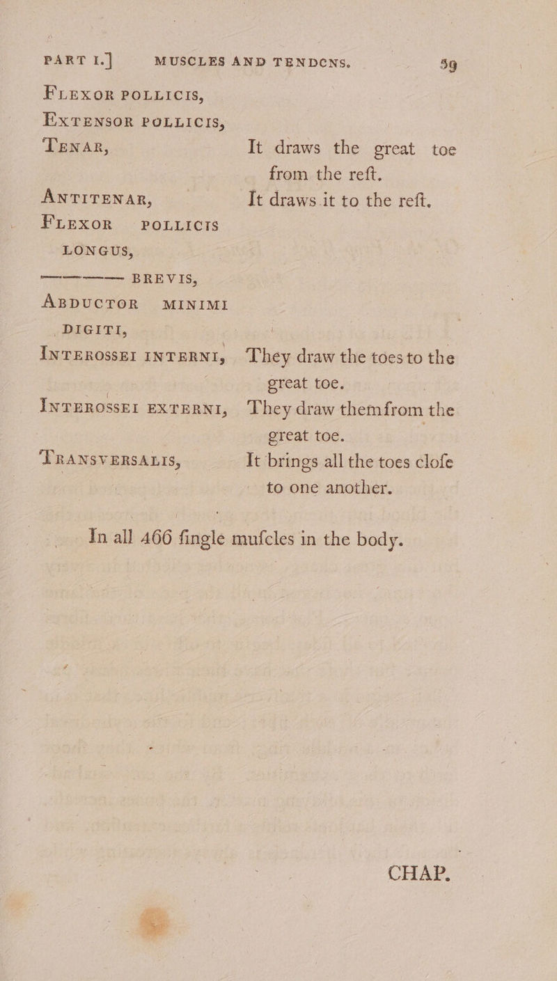 FLEXOR POLLICIS, EXTENSOR POLLICIS, TENnAR, ANTITENAR, FLEXOR POLLICTS LONGUS, —————~ BREVIS, ABDUCTOR MINIMI _DIGITI, INTEROSSEI INTERNI, { INTEROSSEL EXTERNI, ‘PRANSVERSALIS, It draws the great toe from the reft. It draws it to the reff. They draw the toes to the great toe. They draw themfrom the great toe. It brings all the toes clofe to one another. CHAP.