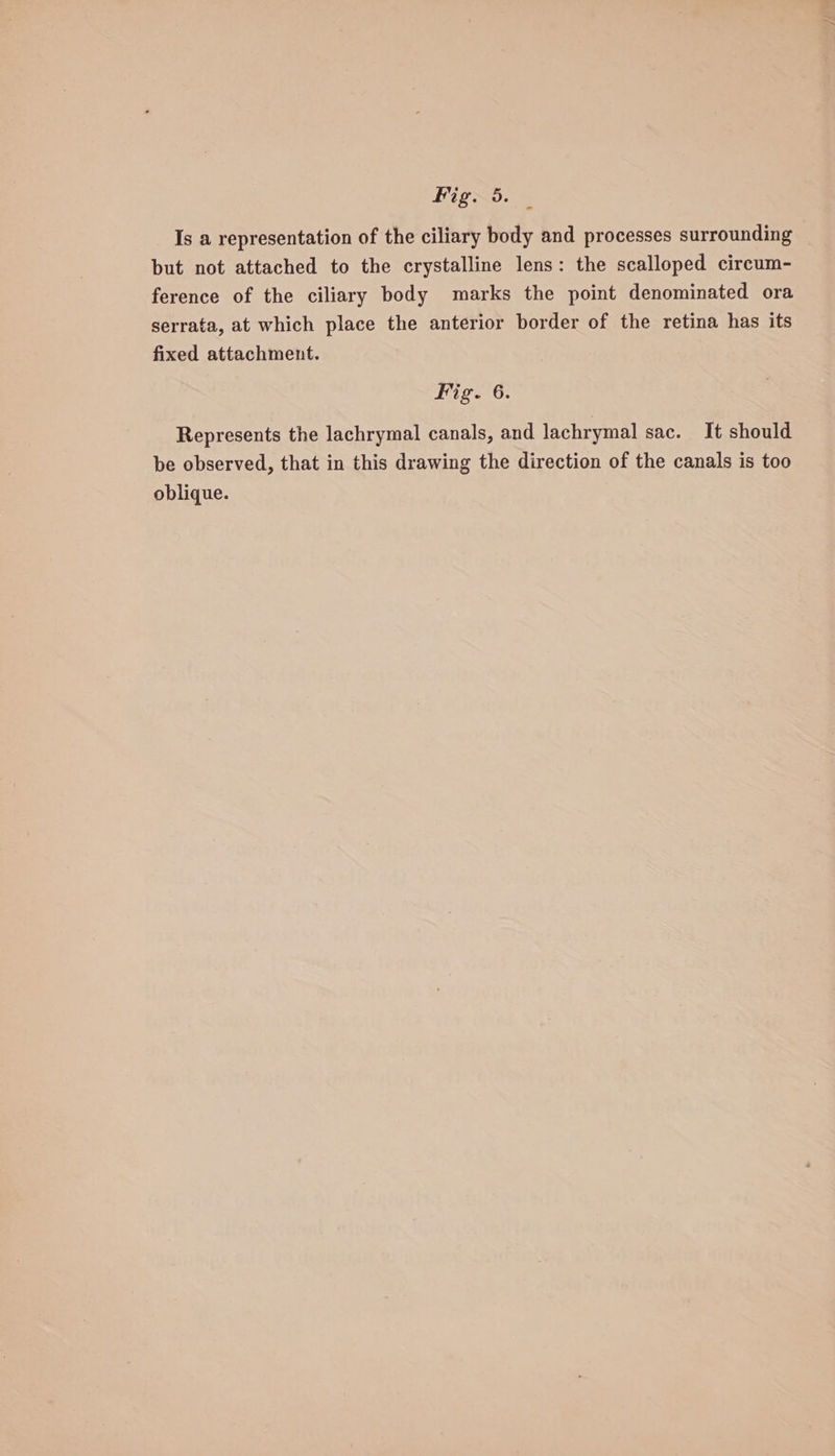 Is a representation of the ciliary body and processes surrounding but not attached to the crystalline lens: the scalloped circum- ference of the ciliary body marks the point denominated ora serrata, at which place the anterior border of the retina has its fixed attachment. Fig. 6. Represents the lachrymal canals, and lachrymal sac. It should be observed, that in this drawing the direction of the canals is too oblique.