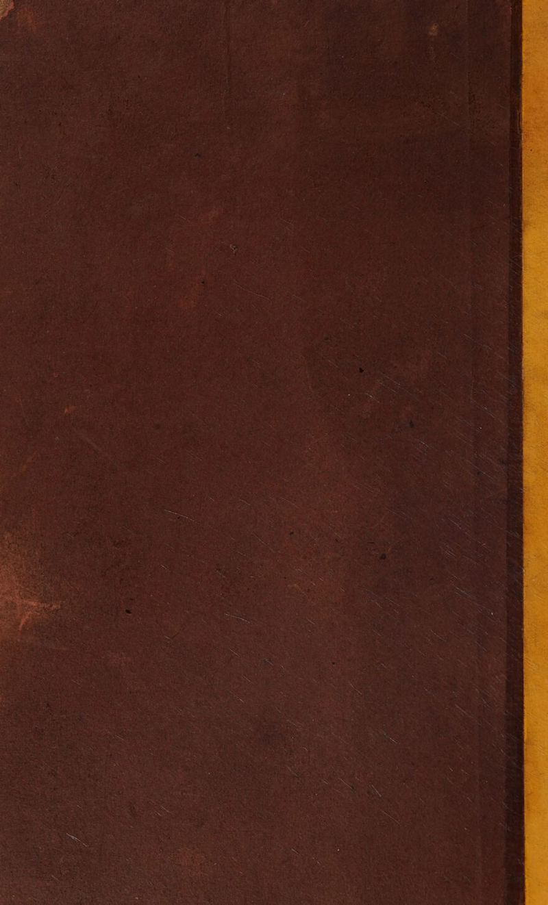 n ‘ 7, ’ j : j 5 Z 2 : j ‘ y \ é 4 ; r 7 f / 4 >} . Gs Shey 7 Z, BET 5 uv Fe Les A ¢ A : r 4 i , és y ; i “ ; ; / . Hf 7 4 4 ff / ; yy y ie y, i / / / Viny 7 / / / , fia é fe g: Z / 3 c gee 7 z y eS f 6 Le ‘ / - 2 i ’ Wi $ : jo 4 if f = ; A 7 ; , Z : Z \ ta 2 4 Ze 7 a 7 4 A / / “ z ay . , i , ‘ ; g Ve, 7 f : / 4 Fs a , fi ¥ F 5 5 7 4 Mi e > i 7 ‘ fee es ; “ 7 ¥ s As %, y 5 } ; ] /. yy, ; If 7 ss f y / Ei 7 i F f hg , i J. : ie é x ; j J ~ id # oa , . 4 y Z . j y i 7 ; ; : A / = y; ie, has Sens bs fs : ‘ ; s asf A . ¢ : \ A ; - $ 4 4 ai r , ; j 3 / J . is + y : 4 é / ace Va ch : ; } re / ifs i , ‘ a / ; f