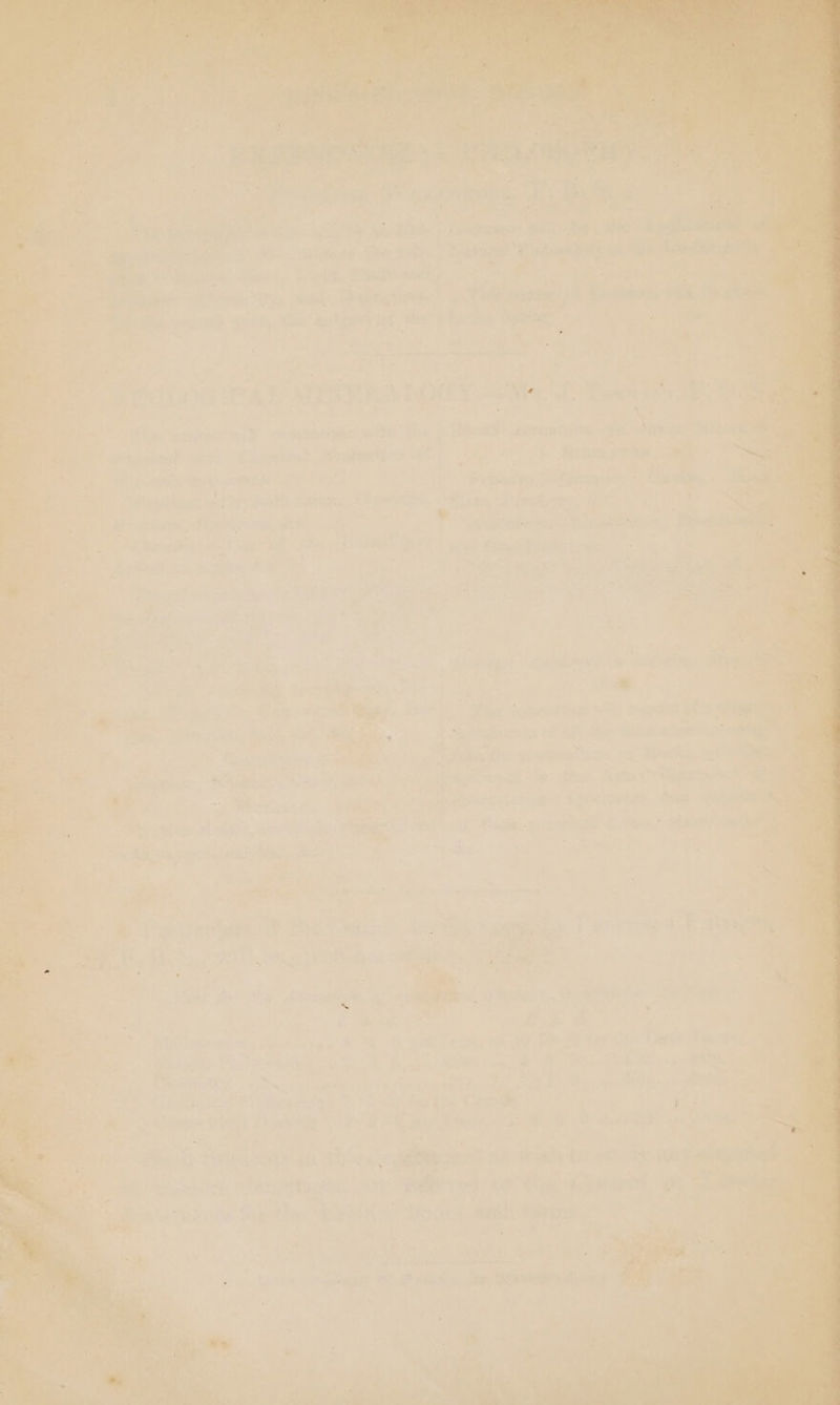 are eager a is Sa Rae pes Ae fre, ; wasn. a a Pay are: Pate © Syaitae Fuse — ” ote . ae Ww : att se Sill =) es erm a3 mal igegtt Atihe “aay ‘snes ‘we me oe Be cisco yea, wm ee ae Yh Soe shi dae eh ee ¥ Some +. f tennee % ) \- andi Bite Bex: Dew e: peeire ye Ae Sires oS es ; HS et era Owe ee 4 er eres td vig OMT xt es Ye if q ’ ea cee gated Ae ” : » ; * » ae wa : ha ‘ Ad .* | asd * adds tee Ce SARE A: ae +39 2 Se 7 #'s Als “pot gs ee ' ’ &gt; pea : Pago wy: ig elie, : cuore : iu: f * bn a aM ‘ ‘4 re! a othe ae) 6, ee iw Pilsars titigcc aes igh rath TIN 5 i jk Te ee ss ¥ : ; os ¥ _ ee ° ARGS EA, LP ee Ae Beis “a af , i _ i Lf - : ‘ aia Pipe -p-apowe ak meow oe ‘yom ‘Se Saaecn os al lee Soe een v= ‘ 4 ‘ + i EEE ORD es 1G ee, ee , *% f. ss ee oat Mg tne ‘ as “eS 3 Tae, Se vw an &amp; Tos fe —_ « = m9] . =; &amp; A a ts ' kes a Aer eae Sa ay ba feat e 2 =) ¢ = - Lak) 2d Paki eae hee * ee 7 He -~ Res ‘ Bir nay Shien in Ph iets ae Be ick gta ata -_ tee ee whe © Be haat Raat May a a ce 168 eee’, sf: at. eee i | aR, Gl ot ‘hots sed. Far oe : ns ; : i ted tole ’ mies we er ‘ ve a y By fx ae es le eel , “wii RoR S tl a ay stag casei se twat