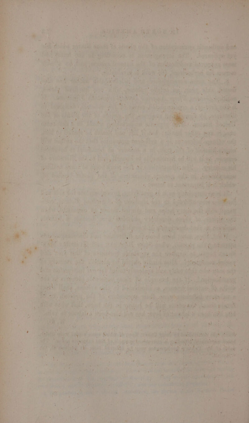 ul : has ioe ve ar ¢ Fis 3 * ae bh ae pen. eMiaiting a we £ he ean eye Pgh cai Gras Hs | i ae fiat Sana iagatrtyanl Bisa shaves acti, alee ed ae fu ie wa epee tt a2 ies ge Sg pet # Ss ai oe . ce es hag mW J ; ‘Biceae hoya sod nit Sts’. irae = gh ? mM rae é shea i : er pe