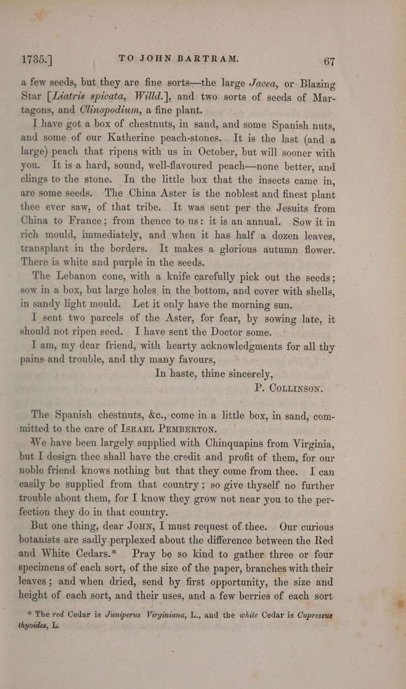 a few seeds, but they are fine sorts—the large Jacea, or: Blazing Star [Liatris spicata, Willd.], and two sorts of seeds of Mar- tagons, and Clinopodiwm, a fine plant. I have got. a box of chestnuts, i in sand, and some Say nuts, and some of our Katherine peach- stones. . It is the last (and a large) peach that ripens with us in October, but will sooner with you. It is-a hard, sound, well-flavoured peach—none better, and clings to the stone. In the little box that the insects came in, are some seeds. The China Aster is the noblest and finest filanis thee ever saw, of that tribe. It was sent per the Jesuits from China to France; from thence to us: it is an annual. Sow it in rich mould, immediately, and when it has half a dozen leaves, transplant in the borders. It makes a glorious autumn flower. There is white and purple in the seeds. The Lebanon cone, with a knife carefully pick out the seeds; sow in a box, but large holes in the bottom, and cover with shells, in sandy light mould. Let.it only have the morning sun. | I sent two parcels of the Aster, for fear, by sowing late, it should not ripen seed. I have sent the Doctor some. Iam, my dear friend, with hearty acknowledgments for all ny pains-and trouble, and thy many favours, — | In haste, thine sincerely, . P. CoLLinson. The Spanish chestnuts, &amp;c.,-come in a little box, in sand, com- mitted to the care of IsRAEL PaMBERTON, We have been largely supplied with Chinquapins from Virginia, but I design thee shall have the credit and profit of them, for our noble friend knows nothing but that they come from thee. I can easily be supplied from that country ; so give thyself no further trouble about them, for I know they grow not near you to the per- fection they do in that country. But one thing, dear Joun, I must request of.thee. Our curious botanists are sadly perplexed about the difference between the Red and White Cedars.* Pray be so kind to gather three or four specimens of each sort, of the size of the paper, branches with their leaves ; and when dried, send by first opportunity, the size and height of each sort, and their uses, and a few berries of each sort * The red Cedar is Juniperus Virginianay L., and the white Cedar is Cupressus thyoides, L.