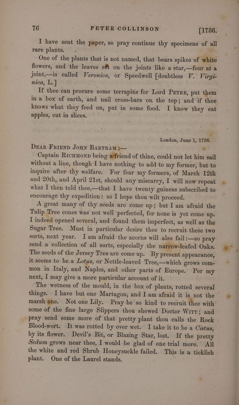 I have sent the paper, so pray continue thy specimens of all rare plants. . he i One of the plants that is not named, that bears spikes of white flowers, and the leaves s@ on the joints like a star,—four at a joint,—is called Veronica, or Spéedwell [doubtless V. Virgi- neea, Li. | “4 | 7 rt | If thee can procure some terrapins for Lord Prrre, put them in a box of earth, and nail cross-bars on the top; and if thee knows what they feed on, put in some food. I know they eat apples, cut in slices. ~~ | : London, June 1, 1736. Dear FRIEND JoHN BARTRAM :— cele ‘= Captain RicuMmonp being affriend of thine, could not let him sail without a line, though I have nothing to add'to my former, but to inquire after thy welfare. For fear my formers, of March 12th and 20th, and April 21st, should any miscarry, I will now repeat encourage thy expedition: so I hope thou wilt proceed. A great many of thy seeds are come up; but I am afraid the Tulip ‘Tree cones was not well perfected, for none is yet come up. I indeed opened several, and found them imperfect, as well as the Sugar Tree. Must in particular desire thee to recruit these two sorts, next year. IJ am afraid: the acorns will also fail :—go pray send a collection of all sorts, especially the narrow-leafed Oaks, The seeds of the Jersey Tree are come up. By present appearance, it seems to be,a Lotus, or Nettle-leaved Tree,—which grows com- mon in Italy, and Naples, and other parts of Kurope. Per my next, I may give a more particular account of it. The wetness of the mould; in the box of plants, rotted several marsh one. Not one Lily. Pray be’so kind to recruit thee with’ some of the fine large Slippers thou showed Doctor Wirt; and Blood-wort. It was rotted by over wet. I take it to be a Cistus, by its flower. Devil’s Bit, or Blazing Star, lost. If the pretty Sedum grows near thee, I would be glad of one trial more. All the white and red Shrub Honeysuckle failed. This is a ticklish plant. One of the Laurel stands. | i | * .