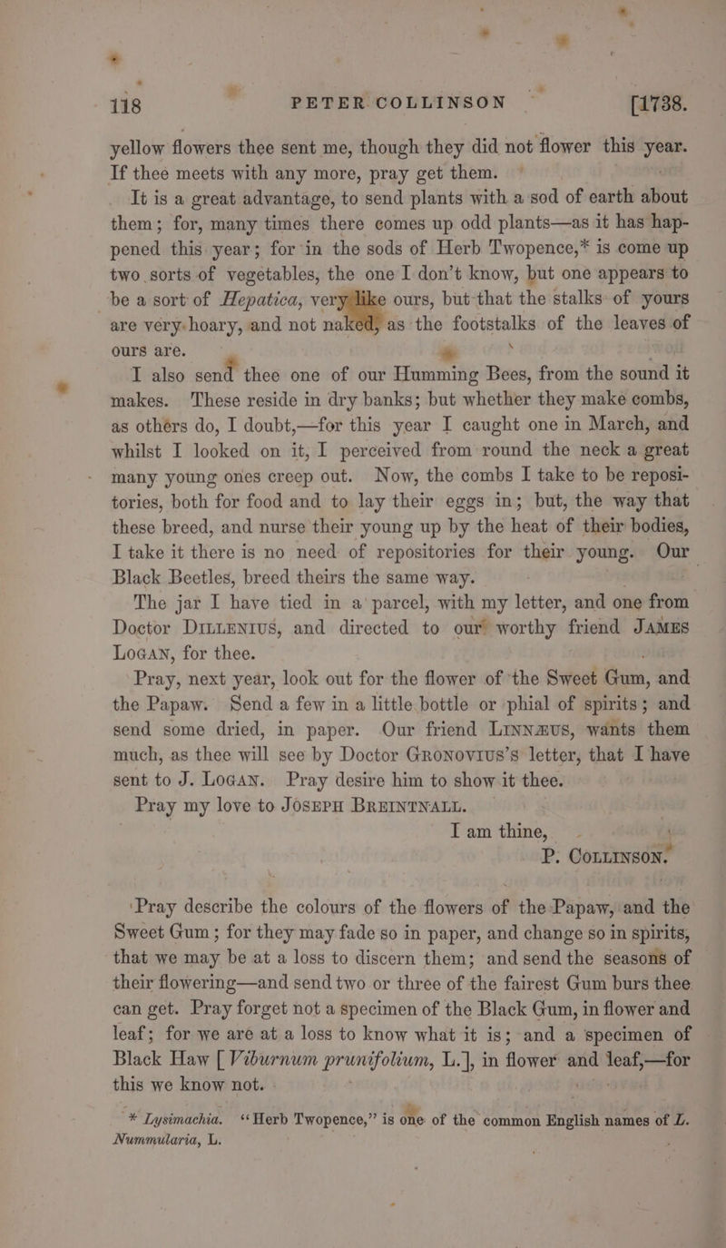 * a 118 PETER COLLINSON iol 1738. yellow flowers thee sent me, though they did not flower this Bhs If thee meets with any more, pray get them. It is a great advantage, to send plants with a sod of earth about them; for, many times there comes up odd plants—as it has hap- pened this year; for in the sods of Herb Twopence,* is come up two sorts of vegetables, the one I don’t know, but one appears to be a sort of Hepatica, ie ours, but-that the stalks of yours are very: hoary, and not naked, as the footstalks of the leaves of ours are. * . I also al thee one of our Humming Bees, from the arsed makes. These reside in dry banks; but whether they make combs, as othérs do, I doubt,—for this year I caught one in March, and whilst I looked on it, I perceived from round the neck a great many young ones creep out. Now, the combs I take to be reposi- tories, both for food and to lay their eggs in; but, the way that these breed, and nurse their young up by the heat of their bodies, I take it there is no need of repositories for their young. Our Black Beetles, breed theirs the same way. | The jar I have tied in a’ parcel, with my letter, and one from Doctor DinLenrus, and directed to our worthy friend Jamus Logan, for thee. Pray, next year, look out for the flower of the Sweet Cann, Gama the Papaw. Send a few in a little bottle or phial of spirits; and send some dried, in paper. Our friend Linnavus, wants them much, as thee will see by Doctor Gronovius’s letter, that I have sent to J. Logan. Pray desire him to show.it thee. | Pray my love to JosePpH BREINTNALL. — , F am thine,. ~2. eal P. CouLINSON, ‘Pray describe the colours of the flowers of the Phsiiy and the Sweet Gum ; for they may fade so in paper, and change so in spirits, that we may be at a loss to discern them; and send the seasons of their flowering—and send two or three of the fairest Gum burs thee. can get. Pray forget not a specimen of the Black Gum, in flower and leaf; for we are at a loss to know what it is; and a specimen of Black Haw 3 4 lil Si abel L.], in flower and leaf,—for this we know not. | . | | ¥ Lysimachia, “‘Herb Twopence,”’ is one of the common English names of L. Nummularia, L. ; .