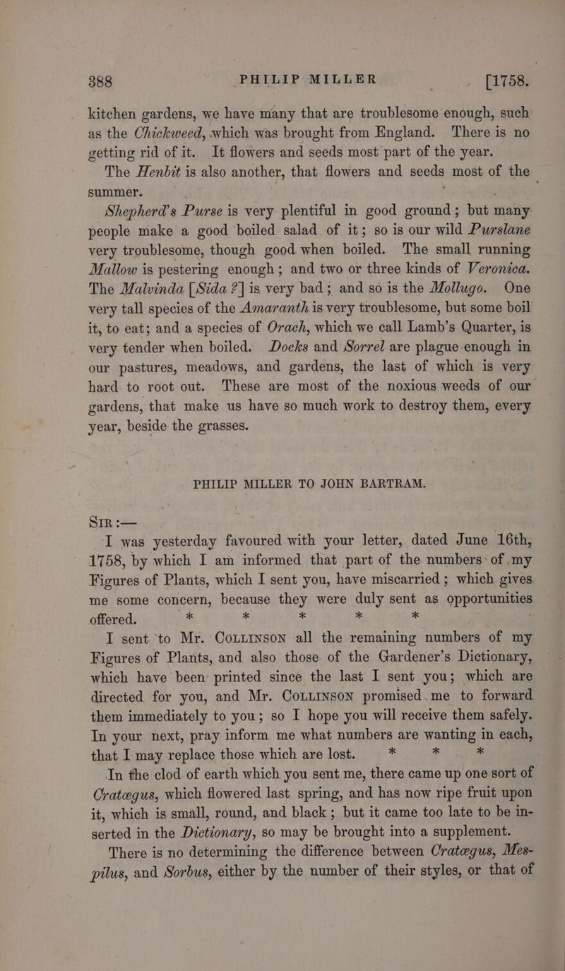 398 PHILIP MILLER “eae kitchen gardens, we have many that are troublesome enough, such as the Ohickweed, which was brought from England. There is no getting rid of it. It flowers and seeds most part of the year. The Hendzt is also another, that flowers and gens most of the summer. Shepherd's Purse is very plentiful in good ground ; ity) many people make a good boiled salad of it; so is our wild Purslane very troublesome, though good when boiled. The small running Mallow is pestering enough ; and two or three kinds of Veronica. The Malvinda [Sida ?] is very bad; and so is the Mollugo. One very tall species of the Amaranth is very troublesome, but some boil it, to eat; and a species of Orach, which we call Lamb’s Quarter, is very tender when boiled. Doeks and Sorrel are plague enough in our pastures, meadows, and gardens, the last of which is very hard to root out. These are most of the noxious weeds of our gardens, that make us have so much work to destroy them, every year, beside the grasses. PHILIP MILLER TO JOHN BARTRAM. SIR :— I was yesterday favoured with your letter, dated June 16th, 1758, by which I am informed that part of the numbers: of .my Figures of Plants, which I sent you, have miscarried ; which gives me some concern, because they were duly sent as opporiamaies offered. ss % 3 ¢ . I sent to Mr. Coxninson all the remaining numbers of my Figures of Plants, and also those of the Gardener’s Dictionary, which have been printed since the last I sent you; which are directed for you, and Mr. Cottrnson promised.me to forward them immediately to you; so I hope you will receive them safely. In your next, pray inform me what numbers are wanting in each, that I may replace those which are lost. ‘: F) ee In the clod of earth which you sent me, there came up one sort of Crategus, which flowered last spring, and has now ripe fruit upon it, which is small, round, and black ; but it came too late to be in- serted in the Dictionary, so may be brought into a supplement. There is no determining the difference between Crategus, Mes- pilus, and Sorbus, either by the number of their styles, or that of