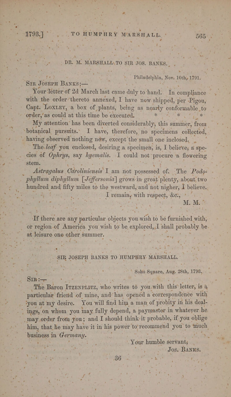 : : 1793.] sg aie i 8 HUMPHRY MARSHALL, ‘ 565. Nid Par : ; ; . ¢ . ae 5 2 ‘ ; . od - 4 ‘y- ., DR. M. MARSHALI4TO ‘SIR JOS. BANKS. | ta fed 7 sc Se : Phitatie, Nov: 10th, 1791. Ser J OSEPH Bans: 2 : with the order’thereto annexed, I have now shipped, ‘per -Pigou, Capt. Loxrey, a box of plants, being as nearly conformable to order,’ as cant at this time be arblised. : he no eee My attention’ has been diverted considerably, this summer, from. ‘botanical, pursuits.’ I have, therefore, no specimens collected, ~ having observed nothing néw, except the small one inclosed. The. leaf you enclosed, desiring a specimen; is, I believe; a “spe- cies of Ophrys, say ale pbs I could: not ° Reon s flowering stem. | oe Astragalus. Otirolinionsis' I am not ene of. The Podo: ~ phylum diphyllum [Jeffersonia] grows: in great ‘plenty, about, two hundred. an fifty miles to the westward, and not nigher, I believe.., ae Si Ag ae Ua . Esra with renee bet 3 rr there are any Jas ain bats you et to be facaiened aioe or region.of America you wish to be SRUINE shall probably be. led _at leisure one other summer. az a m ‘ i. timed a aoe sir ee! BANKS TO HUMPHRY. MARSHALL. Sin :— van, | GF ‘The Baron IrgEnprrz, eis writes to you. with this* letter, is a ~ particular. frietid of mine, and“has openéd a correspondence with ‘you at my desire. You will find him a man of probity i in his deal- : ings, on whom you may fully depend, a paymaster in whateyer he ’ may.order froma you; and I should think: it probable, if.you oblige | him, that. he may have it in his power to: sass you to much, business j in Germany. : Ra * | : RGA Seta res Ce “Your humble servant; Sank pitied ie zl «JOS. BANKS. a