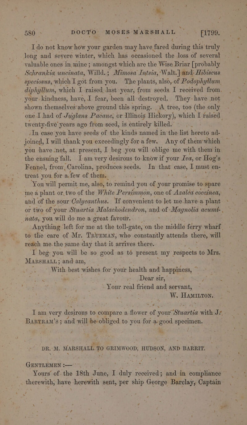 ; ; ee } F : it : } \S 580 : | DOCTO MOSES M AREA DS. iy » £1799. I do Ave know ae your Baek may have fared during this truly © long and geyere winter, which has otoasioned the loss of several valuable ones in, mine ; amongst which are the Wise Briar [probably Schrankia uncinata, Willd.; Mimosa Intsia, Walt.] andi Hibiscus spectosus, which I got from you. The plants, also, of Podophytiwm. diphylwum, which I raised last year, from seeds I received from, _ your. kindness, have, I. fear, been all destroyed. They have not shown themselves‘above ground this spring. A. tree, too (the only ‘one I had of Juglans Pacane; or Ilinois Hickory), which I raised. twenty-five’ years ago from seed, is entirely killed. -In case you have seeds of the kinds named i in the list hereto ad-— joined, I will thank you exceedingly for afew. Any of them which ~ the ensuing fall. Iam very desirous to-know if your Iva, or Hog’s. Fennel, from Carolina, produces seeds. In that case, I must en- | treat you for a, few of them. aN SOLEUS Pe STER ‘You will permit me, also, to remind you ia your promise to spare me a plant. or two of the White Persimmon, one of Azalea coccinea, and of the sour Calycanthus.. Tf convenient to let me.have-a plant or two of your Stwartia Malachodendron, and of Magnotia acum , nata, you will do me a oreat favour... ~ ? Anything left for me at the toll-gate, on the ardale ferry wharf _ to the care of Mr. Truman, who constantly attends then will reach me. the same day that it arrives there. I beg: you will be so good as to PHnOOE My: respects to Mrs. MARSHALL; and am, | With best wishes for your health and happiness, “es _Dear sir, ’ Py ee real friend and servant, ee Ae. T am very desirons to. compare a. Giuee of your + Sabie iii J: 4. | Bartram’ s; and will be obliged to you for.a: pepe epotanae + 3  : pas * , ij &gt; « : ethane MARSHALL. TO GRIMWOOD, HUDSON, AND BARRIT. % con id ‘ ’ t GENTLEMEN : soot quel i gets ct ; Yours’ of the 18th June, I duly received 3 and in bon niinte ‘ : therewith, have herewith sent, per ship George Barclay, ee | 7 \ .? he