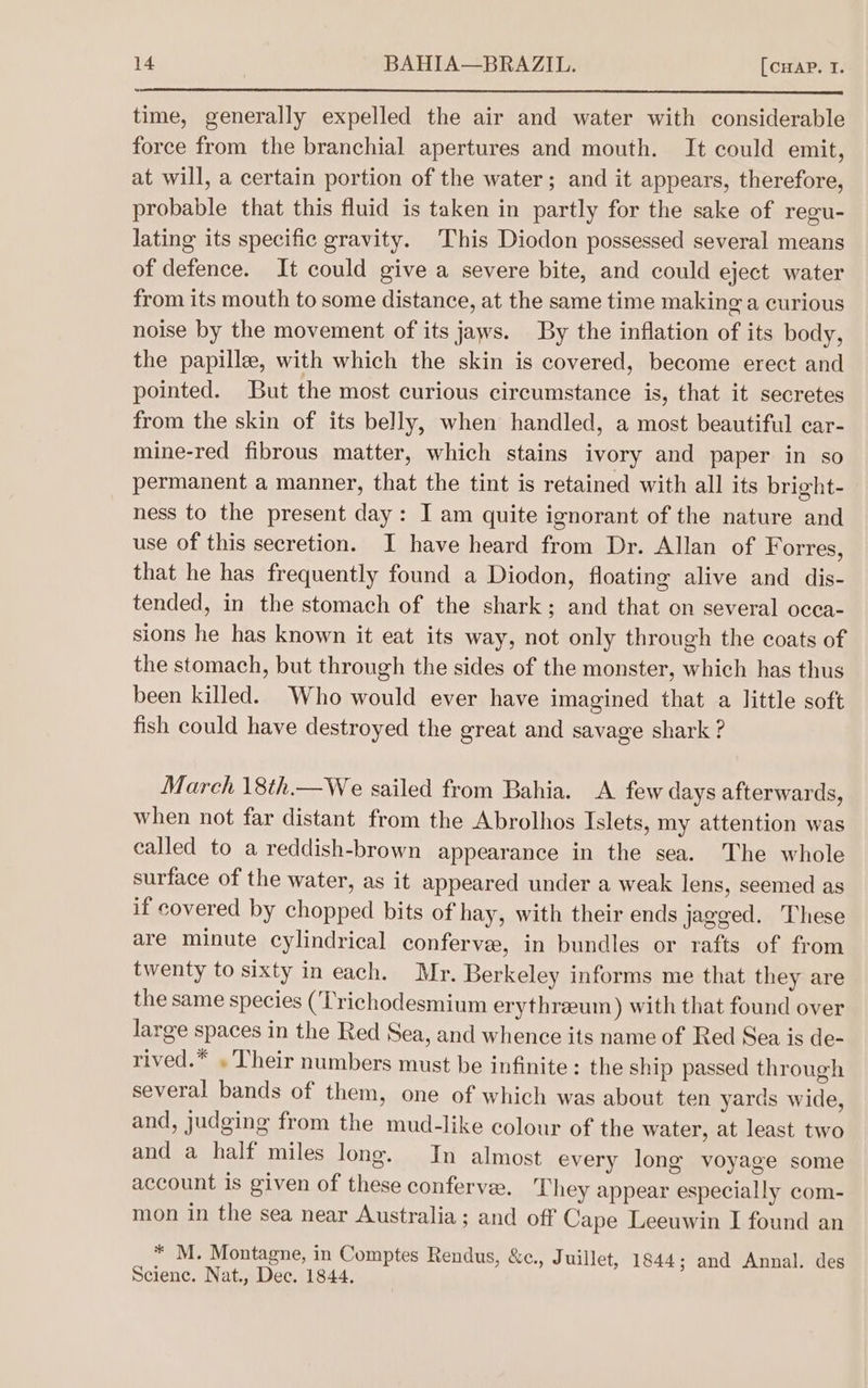 time, generally expelled the air and water with considerable force from the branchial apertures and mouth. It could emit, at will, a certain portion of the water; and it appears, therefore, probable that this fluid is taken in partly for the sake of regu- lating its specific gravity. This Diodon possessed several means of defence. It could give a severe bite, and could eject water from its mouth to some distance, at the same time making a curious noise by the movement of its jaws. By the inflation of its body, the papille, with which the skin is covered, become erect and pointed. But the most curious circumstance is, that it secretes from the skin of its belly, when handled, a most beautiful car- mine-red fibrous matter, which stains ivory and paper in so permanent a manner, that the tint is retained with all its bright- ness to the present day: I am quite ignorant of the nature and use of this secretion. I have heard from Dr. Allan of Forres, that he has frequently found a Diodon, floating alive and dis- tended, in the stomach of the shark; and that on several occa- sions he has known it eat its way, not only through the coats of the stomach, but through the sides of the monster, which has thus been killed. Who would ever have imagined that a little soft fish could have destroyed the great and savage shark ? March 18th.—We sailed from Bahia. A few days afterwards, when not far distant from the Abrolhos Islets, my attention was called to a reddish-brown appearance in the sea. The whole surface of the water, as it appeared under a weak lens, seemed as if covered by chopped bits of hay, with their ends jagged. These are minute cylindrical confervee, in bundles or rafts of from twenty to sixty in each. Mr. Berkeley informs me that they are the same species (‘Trichodesmium erythreum) with that found over large spaces in the Red Sea, and whence its name of Red Sea is de- rived.* . Their numbers must be infinite : the ship passed through several bands of them, one of which was about ten yards wide, and, judging from the mud-like colour of the water, at least two and a half miles long. In almost every long voyage some account is given of these conferve. They appear especially com- mon in the sea near Australia; and off Cape Leeuwin I found an * M. Montagne, in Comptes Rendus, &amp;c., Juillet, 1844 ; and Annal. des Science. Nat., Dec. 1844.