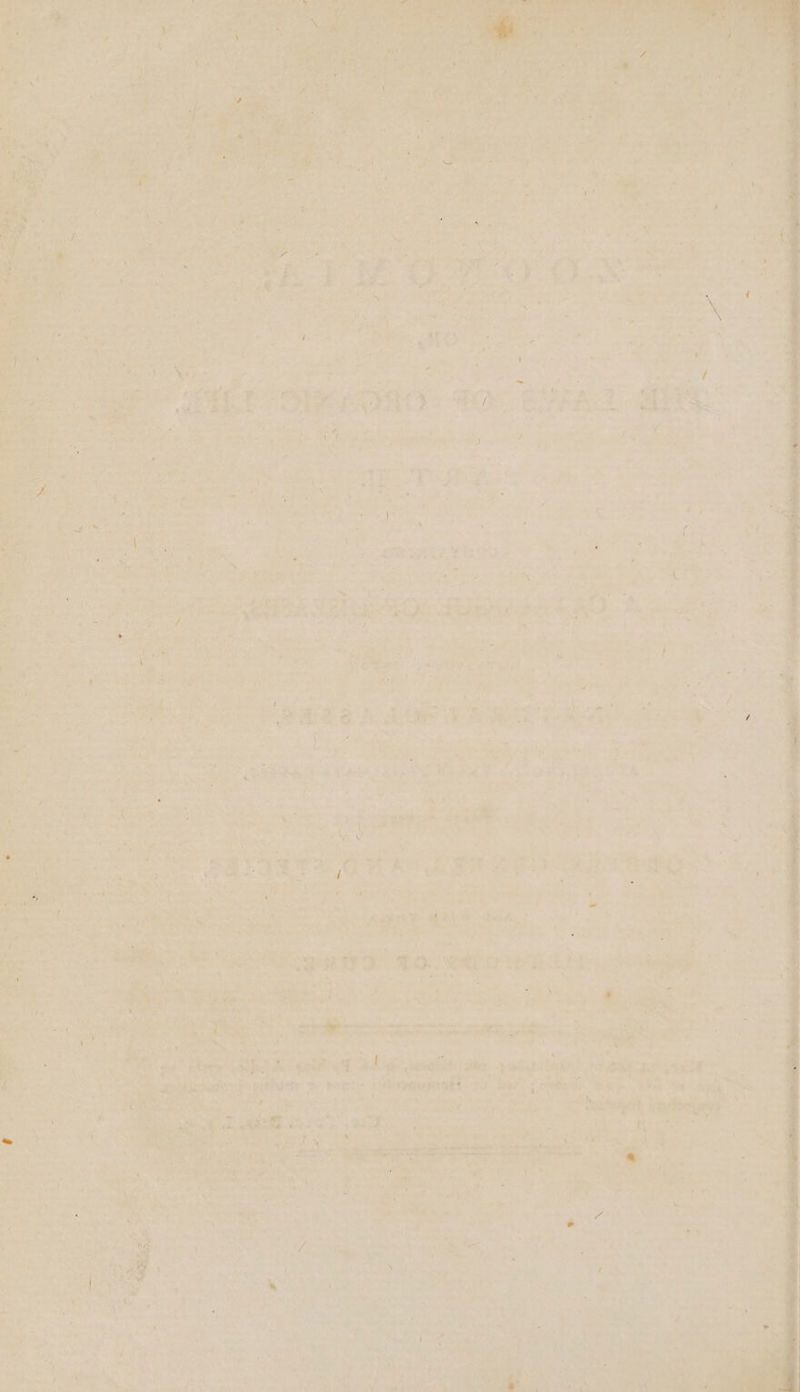 nei ; sk a“ Seth ma A. <5 ‘xo. ee 2 145 > = - ak ty; hy SIO. HP its ie