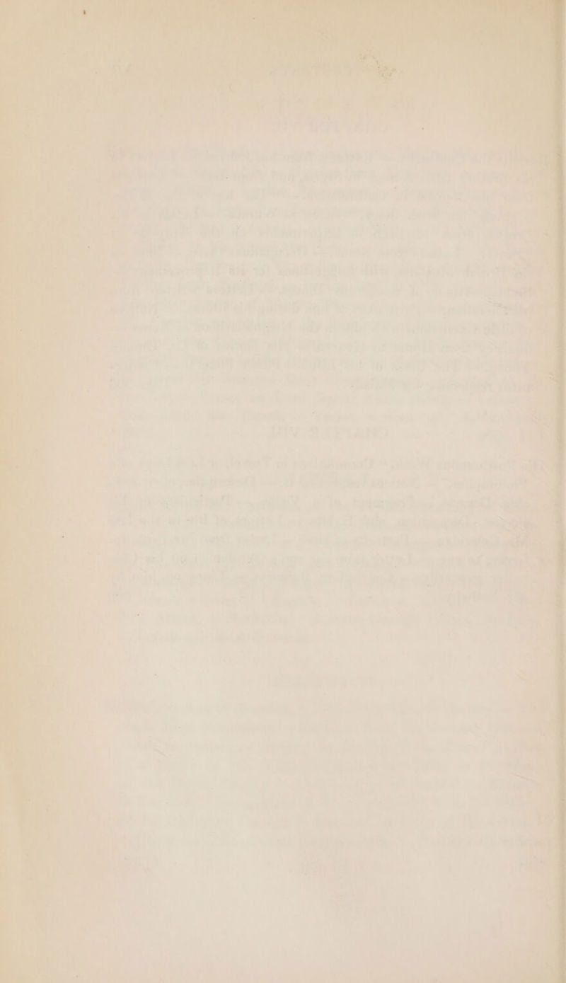 ao uy Ps, Le ae) Dias tt &gt; i ; a oy ee oe &gt;i a ye Syd 2 L ! 7 Th » “64 F Y - , eas ; ew. i a i” M ls | = ) ae is i : or ul &gt; Fy a is aa b thei a i a - a “au ig “s “yy ; pee eS &lt;e Tae aes me, es wee PE 7 | SI, omar ea Be sie ey oe ee oF ae i ae ee al are: eal ; yy 1 } e. ks / ; ; aye Ap: na boi Fade TT ie RO rn = Ne air it a here DE ae)... SP wi.) xiv: (eT ane at a eS ity iis Hein jet © digi) ele ye PT Pies i pu: a gw arlanilier yi SOF VAP I dad}? ay eae. Reeth aes Wie 710! “ee writ sper a Aitvy mers i ee eh Pin mes i pipeiihe ie ‘eer hei TEDY ah 0 8 is Tm “Mt en. ' Se ae crite t,t ye tel al hee Pa) hu Nhe ss ere ta Bee Kiatss 0 ‘Bente ihe HE cP aT! ASW soche eae il pr: (ae as PRT, EE Sid nae ar EE shoe ae a ae wetter il a 16 seultt sire pk Pi — T ual = — _ SS 5 A « 7 =* _ = ] a Se ad ead) : » &amp; &gt; a oh Eee veney © ante vhs Sarr &gt; AR . . Veet ted aasray ~- . an, ‘iy! the NE) i Oe Pe. Siti i Bi» a Sy ‘ WARE EAND. oo = : fetes it 5 + ae Hagel caren} en weape Lasley) 5 iad ~~ pote yee) et a, od eee % Pains! A ee, Ce ys Lost i eM ro Wate etd i eh eig (tht noe ianichl Suin shag WSS ae aa C1) ont, tater Fo Shh Sagara fae de | ae. ‘- abe b. TPGsifat pat OR aim’ ads aig h, poate d, 7 erry - fs Nt. wed pont Hee soy) ip acupie * £20 oy: Bey oY o 0 re a. aed + Ha Yad % ‘ tattle . ¥ _ 40 a ny a 2 es. ' £ Le a % a ates a : a v eas - : i he i * es 7 4 i ae - rr os be ach. eo Aya, tan é : ae: + ieee » a cane Ne as : ay ht rn a ce ep, fae a © Ww a . ‘ , ; Mao Wie. aay ae : es as, whew 7 ie ai ‘ao show ey . ashy | . ‘ ~ y getan ay 3h bees ve) - iy 7 es i ‘ Z a is a &amp; = Li - r) L ry ; i. ‘ a ie: ne eee ee wey! ee er ae by i a h, y! , * i eis ‘| ; es : he on Boi ‘ve | De, +, | a “Ces ‘ . a so : Paty’ baat ae A he ae yr we TP a ae hei Wes.