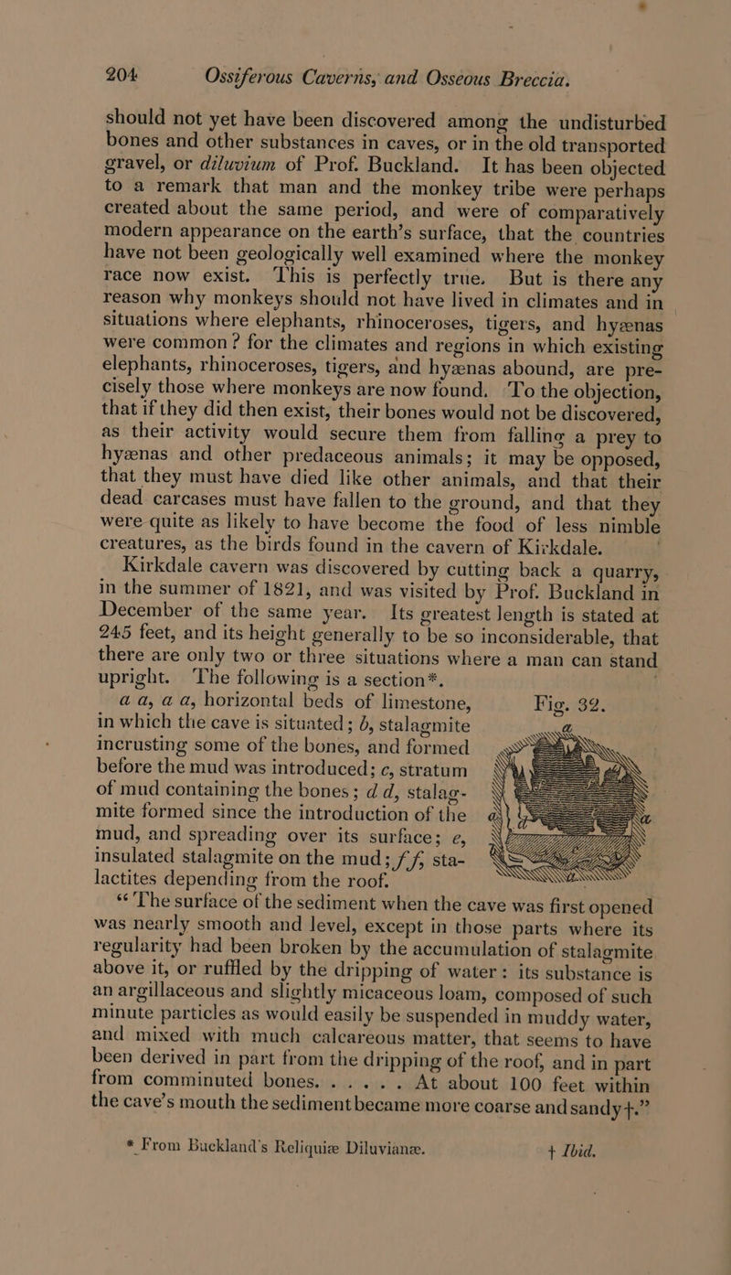 should not yet have been discovered among the undisturbed bones and other substances in caves, or in the old transported gravel, or diluvium of Prof. Buckland. It has been objected to a remark that man and the monkey tribe were perhaps created about the same period, and were of comparatively modern appearance on the earth’s surface, that the countries have not been geologically well examined where the monkey race now exist. ‘This is perfectly true. But is there any reason why monkeys should not have lived in climates and in situations where elephants, rhinoceroses, tigers, and hyzenas were common? for the climates and regions in which existing elephants, rhinoceroses, tigers, and hyzenas abound, are pre- cisely those where monkeys are now found. ‘To the objection, that if they did then exist, their bones would not be discovered, as their activity would secure them from falling a prey to hyznas and other predaceous animals; it may be opposed, that they must have died like other animals, and that their dead carcases must have fallen to the ground, and that they were quite as likely to have become the food of less nimble creatures, as the birds found in the cavern of Kirkdale. Kirkdale cavern was discovered by cutting back a quarry, in the summer of 1821, and was visited by Prof. Buckland in December of the same year. Its greatest Jength is stated at 245 feet, and its height generally to be so inconsiderable, that there are only two or three situations where a man can stand upright. ‘The following is a section*. aa, a a, horizontal beds of limestone, Fig. 32, in which the cave is situated; 4, stalagmite incrusting some of the bones, and formed before the mud was introduced; c, stratum of mud containing the bones; d d, stalag- mite formed since the introduction of the mud, and spreading over its surface; e, OP ZG KN lactites depending from the roof. ANAND ‘The surface of the sediment when the cave was first opened was nearly smooth and level, except in those parts where its regularity had been broken by the accumulation of stalagmite above it, or ruffled by the dripping of water: its substance is an argillaceous and slightly micaceous loam, composed of such minute particles as would easily be suspended in muddy water, and mixed with much calcareous matter, that seems to have been derived in part from the dripping of the roof, and in part from comminuted bones. ..... At about 100 feet within the cave’s mouth the sediment became more coarse and sandy +.” * From Buckland’s Reliquize Diluviane. + Ibid.