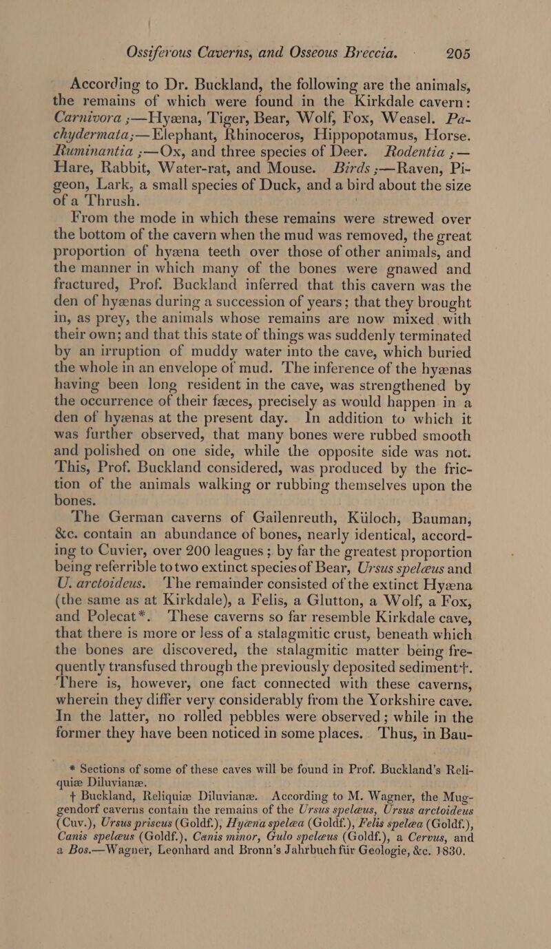 According to Dr. Buckland, the following are the animals, the remains of which were found in the Kirkdale cavern: Carnivora ;—Hyeena, Tiger, Bear, Wolf, Fox, Weasel. Pa- chydermata;— Elephant, Rhinoceros, Hippopotamus, Horse. Ltuminantia ;—Ox, and three species of Deer. Rodentia ; — Hare, Rabbit, Water-rat, and Mouse. Birds ;—Raven, Pi- geon, Lark, a small species of Duck, and a bird about the size of a Thrush. | From the mode in which these remains were strewed over the bottom of the cavern when the mud was removed, the great proportion of hyena teeth over those of other animals, and the manner in which many of the bones were gnawed and fractured, Prof. Buckland inferred that this cavern was the den of hyzenas during a succession of years; that they brought in, as prey, the animals whose remains are now mixed _ with their own; and that this state of things was suddenly terminated by an irruption of muddy water into the cave, which buried the whole in an envelope of mud. The inference of the hyznas having been long resident in the cave, was strengthened by the occurrence of their faeces, precisely as would happen in a den of hyzenas at the present day. In addition to which it was further observed, that many bones were rubbed smooth and polished on one side, while the opposite side was not. This, Prof. Buckland considered, was produced by the fric- tion of the animals walking or rubbing themselves upon the bones. The German caverns of Gailenreuth, Kuloch, Bauman, &amp;c. contain an abundance of bones, nearly identical, accord- ing to Cuvier, over 200 leagues ; by far the greatest proportion being referrible totwo extinct species of Bear, Ursus speleus and U. arctoideus. ‘The remainder consisted of the extinct Hyzena (the same as at Kirkdale), a Felis, a Glutton, a Wolf, a Fox, and Polecat*. ‘These caverns so far resemble Kirkdale cave, that there is more or Jess of a stalagmitic crust, beneath which. the bones are discovered, the stalagmitic matter being fre- quently transfused through the previously deposited sediment+. There is, however, one fact connected with these caverns, wherein they differ very considerably from the Yorkshire cave. In the latter, no rolled pebbles were observed ; while in the former they have been noticed in some places... Thus, in Bau- * Sections of some of these caves will be found in Prof. Buckland’s Reli- quize Diluviane. | : + Buckland, Reliquiz Diluviane. According to M. Wagner, the Mug- gendorf caverns contain the remains of the Ursus speleus, Ursus arctoideus (Cuv.), Ursus priscus (Goldf.), Hyena spelea (Goldf.), Felis spelea (Goldf.), Canis speleus (Goldf.), Canis minor, Gulo speleus (Goldf.), a Cervus, and a Bos.—Wagner, Leonhard and Bronn’s Jahrbuch fiir Geologie, &amp;c. 1830.