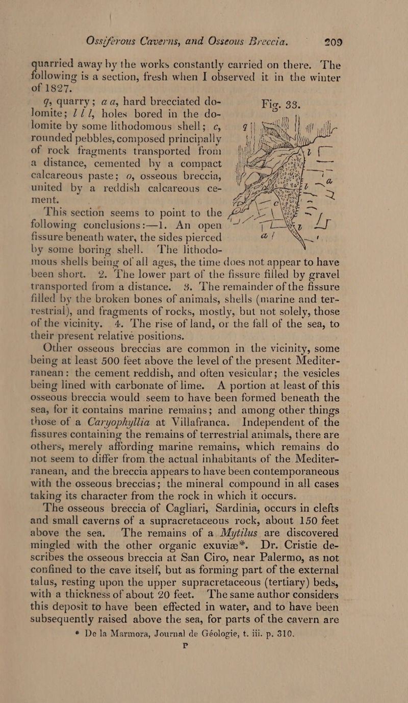 &lt;p away hy the works constantly carried on there. The ollowing is a section, fresh when I observed it in the winter of 1827. qs quarry; aa, hard brecciated do- Jomite; 7/7, holes bored in the do- lomite by some lithodomous shell; c, rounded pebbles, composed principally of rock fragments transported from a distance, cemented by a compact calcareous paste; 0, osseous breccia, united by a reddish calcareous ce- ment. This section seems to point to the following conclusions:—1. An open fissure beneath water, the sides pierced by some boring shell. The lithodo- mous shells being of all ages, the time does not appear to have been short. 2. The lower part of the fissure filled by gravel transported from a distance. 3. ‘The remainder of the fissure filled by the broken bones of animals, shells (niarine and ter- restrial), and fragments of rocks, mostly, but not solely, those of the vicinity. 4. The rise of land, or the fall of the sea, to their present relative positions. Other osseous breccias are common in the vicinity, some being at least 500 feet above the level of the present Mediter- ranean: the cement reddish, and often vesicular; the vesicles being lined with carbonate of lime. A portion at least of this osseous breccia would seem to have been formed beneath the sea, for it contains marine remains; and among other things those of a Caryophyllia at Villafranca. Independent of the fissures containing the remains of terrestrial animals, there are others, merely affording marine remains, which remains do not seem to differ from. the actual inhabitants of the Mediter- ranean, and the breccia appears to have been contemporaneous with the osseous breccias; the mineral compound in all cases taking its character from the rock in which it occurs. The osseous breccia of Cagliari, Sardinia, occurs in clefts and small caverns of a supracretaceous rock, about 150 feet above the sea. The remains of a. Mytilus are discovered mingled with the other organic exuvie*. Dr. Cristie de- scribes the osseous breccia at San Ciro, near Palermo, as not confined to the cave itself, but as forming part of the external talus, resting upon the upper supracretaceous (tertiary) beds, with a thickness of about 20 feet. The same author considers this deposit to have been effected in water, and to have been subsequently raised above the sea, for parts of the cavern are * De la Marmora, Journal de Géologie, t. iil. p. 310. P