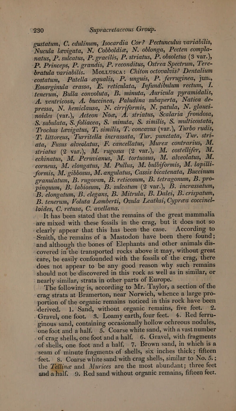 gustatum, C. edulinum, Tsocardia Cor? Pectunculus variabilis, Nucula levigata, N. Cobboldia, N. oblonga, Pecten compla- natus, P. sulcatus, P. gracilis, P. striatus, P. obsoletus (3 var.), -P. Princeps, P. grandis, P. reconditus, Ostrea Spectrum, Tere- bratula variabilis. Motiusca: Chiton octovalvis? Dentalium -costatum, Patella equalis, P. unguis, P. ferruginea, jun, -Emarginula crassa, E. reticulata, Infundibulum rectum, iq. tenerum, Bulla convoluta, B. minuta, Auricula pyramidalis, A. wentricosa, A. buccinea, Paludina subaperta, Natica de- pressa, N. hemiclausa, N. cirriformis, N. patula, N. glauci- ‘noides (var.), Acteon’ Noe, A.° striatus, Scalaria frondosa, S. subulata, S. foliacea, S. minuta, S. similis, S. multicostata, Trochus levigatus, T. similis, ‘T. concavus (var.), Turbo rudis, T. littoreus, Turritella incrassata, Tur. punctata, Tur. stri- ata, Fusus alveolatus, F. cancellatus, Murex contrarius, M. striatus (2 var.), M. rugosus (2 var.), M. costellifer, M. ‘ echinatus, M. Peruvianus, M. tortuosus, M. alveolatus, M. corneus, M. elongatus, M. Pullus, M. bulbiformis, M. lapzllt- formis, M. gibbosus, M.angulatus, Cassis bicatenata, Buccinum granulatum, B. rugosum, B. reticosum, B. tetragonum, B. pro- pinquum, B. labiosum, B. sulcatum (2 var.), B. incrassatum, B. elongatum, B. elegans, B. Mitrula, B. Daler, B. crispatum, B. tenerum, Voluta Lamberti, Ovula Leathsi, Cyprea coccinel- loides, C. retusa, C. avellana. | It has been stated that the remains of the great mammalia are mixed with these fossils in the crag, but it doesnot so -clearly appear that this has been the case. According to - Smith, the remains of a Mastodon have been there found ; and although the bones of Elephants and other animals dis- covered in the transported rocks above it may, without great care, be easily confounded with the fossils of the. crag, there does not appear to be any good reason why such remains should not be discovered in this rock as well as in similar, or nearly similar, strata in other parts of Europe. The following is, according to Mr. Taylor, a section of the crag strata at Bramerton, near Norwich, whence a large pro- portion of the organic remains noticed in this rock have been derived. 1. Sand, without organic remains, five feet. 2. Gravel, one foot. 3. Loamy earth, four feet. 4. Red ferru- ginous sand, containing occasionally hollow ochreous nodules, one foot and a half. 5. Coarse white sand, with a vast number ~of crag shells, one foot anda half. 6. Gravel, with fragments of shells, one foot and a half. 7. Brown sand, in which is a ‘seam of minute fragments of shells, six inches thick; fifteen feet. 8. Coarse white sand with crag shells, similar to No. 5. ; the Tellin and Murices are the most abundant; three feet and.ahalf. 9. Red sand without organic remains, fifteen feet.