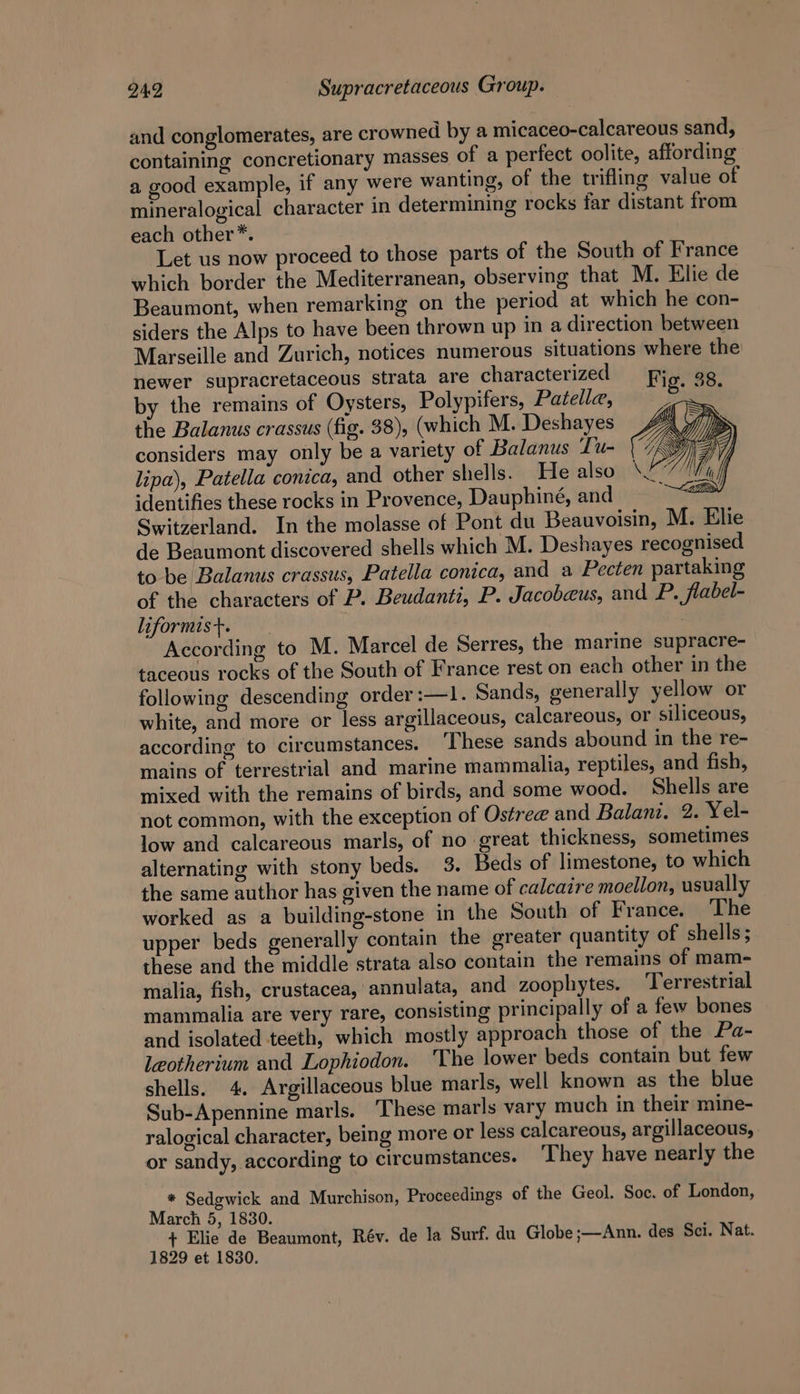 and conglomerates, are crowned by a micaceo-calcareous sand, containing concretionary masses of a perfect oolite, affording a good example, if any were wanting, of the trifling value of mineralogical character in determining rocks far distant from each other*. Let us now proceed to those parts of the South of France which border the Mediterranean, observing that M. Elie de Beaumont, when remarking on the period at which he con- siders the Alps to have been thrown up in a direction between Marseille and Zurich, notices numerous situations where the newer supracretaceous strata are characterized by the remains of Oysters, Polypifers, Patella, the Balanus crassus (fig. 38), (which M. Deshayes considers may only be a variety of Balanus Tu- lipa), Patella conica, and other shells. He also identifies these rocks in Provence, Dauphiné, and | Switzerland. In the molasse of Pont du Beauvoisin, M. Elie de Beaumont discovered shells which M. Deshayes recognised to be Balanus crassus, Patella conica, and a Pecten partaking of the characters of P. Beudanti, P. Jacobeus, and P. flabel- liformist. | According to M. Marcel de Serres, the marine supracre- taceous rocks of the South of France rest on each other in the following descending order :—1. Sands, generally yellow or white, and more or less argillaceous, calcareous, or siliceous, according to circumstances. These sands abound in the re- mains of terrestrial and marine mammalia, reptiles, and fish, mixed with the remains of birds, and some wood. Shells are not common, with the exception of Ostree and Balani. 2. Yel- low and calcareous marls, of no great thickness, sometimes alternating with stony beds. 3. Beds of limestone, to which the same author has given the name of calcaire moellon, usually worked as a building-stone in the South of France. ‘The upper beds generally contain the greater quantity of shells; these and the middle strata also contain the remains of mam- malia, fish, crustacea, annulata, and zoophytes. ‘Terrestrial mammalia are very rare, consisting principally of a few bones and isolated teeth, which mostly approach those of the Pa- leotherium and Lophiodon. ‘The lower beds contain but few shells. 4. Argillaceous blue marls, well known as the blue Sub-Apennine marls. These marls vary much in their mine- ralogical character, being more or less calcareous, argillaceous, or sandy, according to circumstances. They have nearly the * Sedgwick and Murchison, Proceedings of the Geol. Soc. of London, March 5, 1830. + Elie de Beaumont, Rév. de la Surf. du Globe ;—Ann. des Sci. Nat.