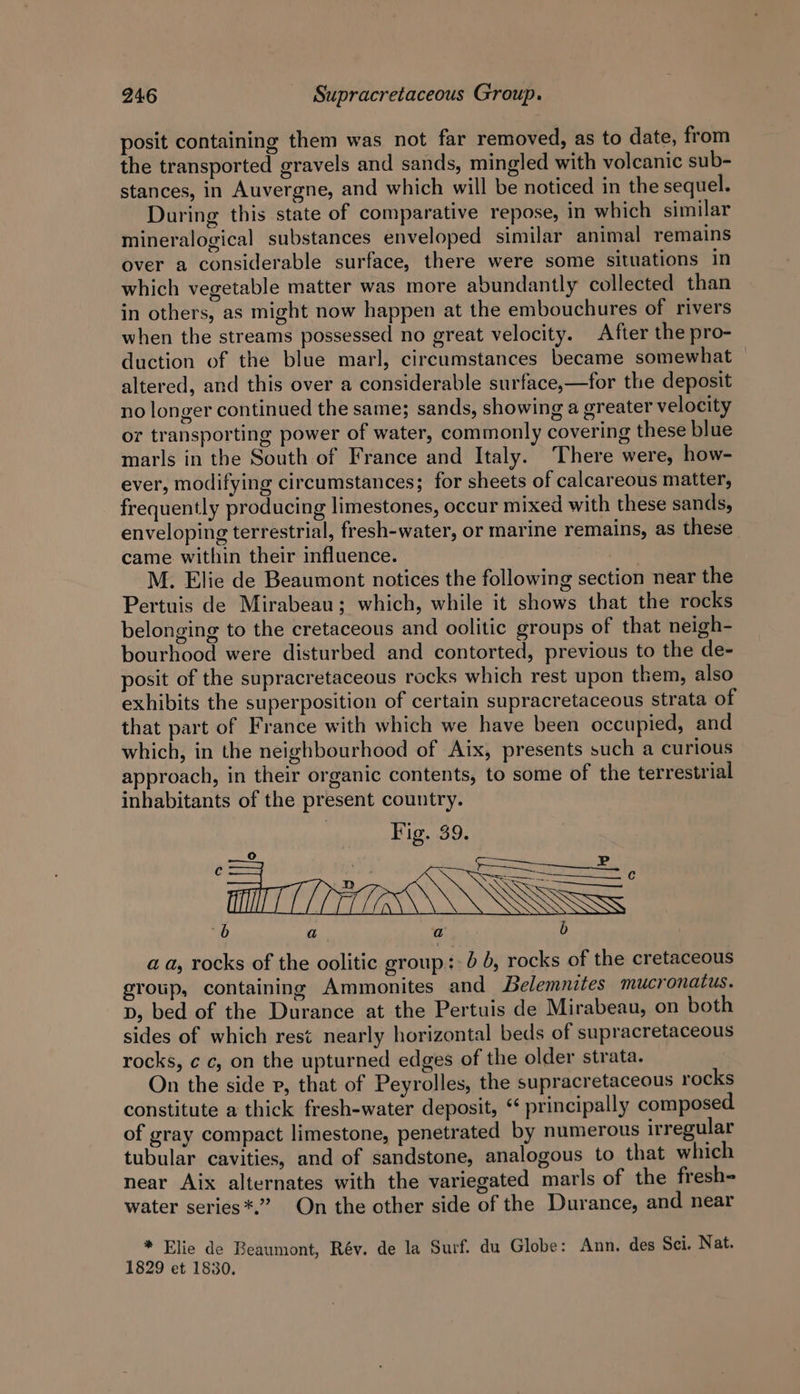 posit containing them was not far removed, as to date, from the transported gravels and sands, mingled with volcanic sub- stances, in Auvergne, and which will be noticed in the sequel. During this state of comparative repose, in which similar mineralogical substances enveloped similar animal remains over a considerable surface, there were some situations in which vegetable matter was more abundantly collected than in others, as might now happen at the embouchures of rivers when the streams possessed no great velocity. After the pro- duction of the blue marl, circumstances became somewhat altered, and this over a considerable surface,—for the deposit no longer continued the same; sands, showing a greater velocity or transporting power of water, commonly covering these blue marls in the South of France and Italy. There were, how- ever, modifying circumstances; for sheets of calcareous matter, frequently producing limestones, occur mixed with these sands, enveloping terrestrial, fresh-water, or marine remains, as these came within their influence. M. Elie de Beaumont notices the following section near the Pertuis de Mirabeau; which, while it shows that the rocks belonging to the cretaceous and oolitic groups of that neigh- bourhood were disturbed and contorted, previous to the de- posit of the supracretaceous rocks which rest upon them, also exhibits the superposition of certain supracretaceous strata of that part of France with which we have been occupied, and which, in the neighbourhood of Aix, presents such a curious approach, in their organic contents, to some of the terrestrial inhabitants of the present country. Fig. 39. a a, rocks of the oolitic group:: 6 b, rocks of the cretaceous group, containing Ammonites and Belemnites mucronatus. p, bed of the Durance at the Pertuis de Mirabeau, on both sides of which rest nearly horizontal beds of supracretaceous rocks, ¢ c, on the upturned edges of the older strata. On the side p, that of Peyrolles, the supracretaceous rocks constitute a thick fresh-water deposit, principally composed. of gray compact limestone, penetrated by numerous irregular tubular cavities, and of sandstone, analogous to that which near Aix alternates with the variegated marls of the fresh water series*.” On the other side of the Durance, and near * Elie de Beaumont, Rév. de la Surf. du Globe: Ann. des Sci. Nat. 1829 et 1830.