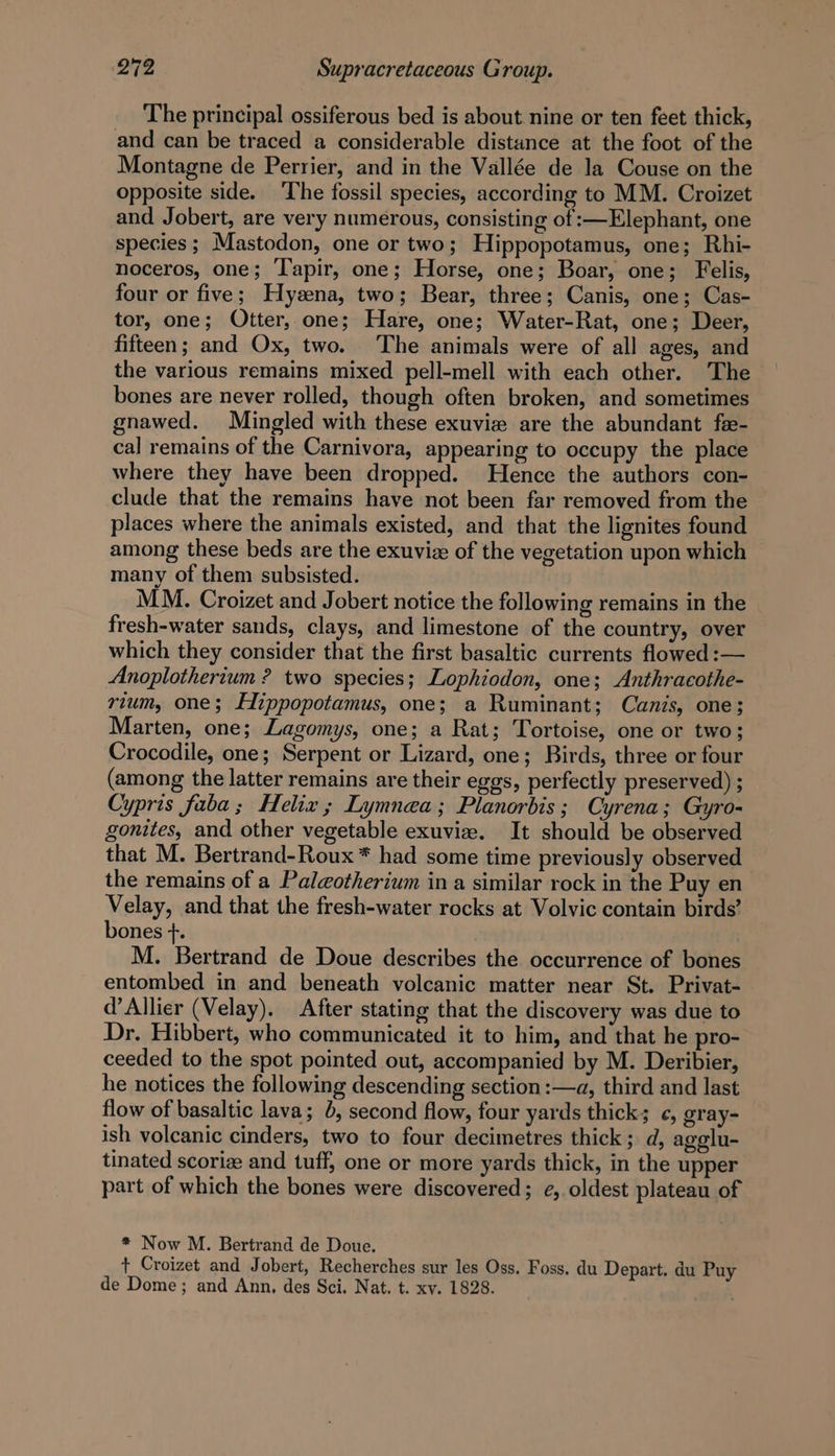 The principal ossiferous bed is about nine or ten feet thick, and can be traced a considerable distance at the foot of the Montagne de Perrier, and in the Vallée de la Couse on the opposite side. ‘The fossil species, according to MM. Croizet and Jobert, are very numerous, consisting of :—Elephant, one species ; Mastodon, one or two; Hippopotamus, one; Rhi- noceros, one; Tapir, one; Horse, one; Boar, one; Felis, four or five; Hyzena, two; Bear, three; Canis, one; Cas- tor, one; Otter, one; Hare, one; Water-Rat, one; Deer, fifteen; and Ox, two. The animals were of all ages, and the various remains mixed pell-mell with each other. The bones are never rolled, though often broken, and sometimes gnawed. Mingled with these exuvie are the abundant fe- cal remains of the Carnivora, appearing to occupy the place where they have been dropped. Hence the authors con- clude that the remains have not been far removed from the places where the animals existed, and that the lignites found among these beds are the exuvize of the vegetation upon which many of them subsisted. MM. Croizet and Jobert notice the following remains in the fresh-water sands, clays, and limestone of the country, over which they consider that the first basaltic currents flowed :— Anoplotherium ? two species; Lophiodon, one; Anthracothe- rium, one; Hippopotamus, one; a Ruminant; Canis, one; Marten, one; Lagomys, one; a Rat; Tortoise, one or two; Crocodile, one; Serpent or Lizard, one; Birds, three or four (among the latter remains are their eggs, perfectly preserved) ; Cypris faba; Helix ; Lymnea; Planorbis; Cyrena; Gyro- gonites, and other vegetable exuviz. It should be observed that M. Bertrand-Roux* had some time previously observed the remains of a Palgotherium in a similar rock in the Puy en Velay, and that the fresh-water rocks at Volvic contain birds’ bones +. M. Bertrand de Doue describes the occurrence of bones entombed in and beneath volcanic matter near St. Privat- d’Allier (Velay). After stating that the discovery was due to Dr. Hibbert, who communicated it to him, and that he pro- ceeded to the spot pointed out, accompanied by M. Deribier, he notices the following descending section :—a, third and last flow of basaltic lava; }, second flow, four yards thick; ¢, gray- ish volcanic cinders, two to four decimetres thick; d, agelu- tinated scoriz and tuff, one or more yards thick, in the upper part of which the bones were discovered; ¢, oldest plateau of * Now M. Bertrand de Doue. + Croizet and Jobert, Recherches sur les Oss. Foss. du Depart. du Puy de Dome; and Ann, des Sci. Nat. t. xv. 1828.
