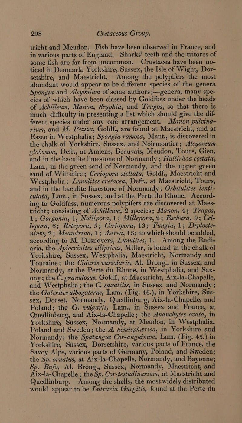 tricht and Meudon. Fish have been observed in France, and in various parts of England. Sharks’ teeth and the tritores of some fish are far from uncommon. Crustacea have been no- ticed in Denmark, Yorkshire, Sussex, the Isle of Wight, Dor- setshire, and Maestricht. Among the polypifers the most abundant would appear to be different species of the genera Spongia and Alcyonium of some authors ;—genera, many spe- cies of which have been classed by Goldfuss- under the heads of Achilleum, Manon, Scyphia, and Tragos, so that there is much difficulty in presenting a list which should give the dif- ferent species under any one arrangement. Manon pulvina- rium, and M. Peziza, Goldf., are found at Maestricht, and at Essen in Westphalia; Spongia ramosa, Mant., is discovered in the chalk of Yorkshire, Sussex, and Noirmoutier; Alcyonzum globosum, Defr., at Amiens, Beauvais, Meudon, Tours, Gien, and in the baculite limestone of Normandy ; Hallirhoa costata, Lam., in the green sand of Normandy, and the upper green sand of Wiltshire; Ceriopora stellata, Goldf., Maestricht and Westphalia; Lunulites cretacea, Defr., at Maestricht, ‘Tours, and in the baculite limestone of Normandy ; Orbztulztes lentz- culata, Lam., in Sussex, and at the Perte du Rhone. Accord- ing to Goldfuss, numerous polypifers are discovered at Maes- tricht; consisting of Achilleum, 2 species; Manon, 4; Tragos, 1; Gorgonia, 1, Nullipora, 1; Millepora, 2; Eschara, 9; Cel- lepora, 6; Retepora, 5; Ceriopora, 13; Fungia, 1; Diplocte- nium, 2; Meandrina, 1; Astrea, 13; to which should be added, according to M. Desnoyers, Lunulites, 1. Among the Radi- aria, the Apiocrinites ellipticus, Miller, is found in the chalk of Yorkshire, Sussex, Westphalia, Maestricht, Normandy and Touraine; the Cidaris variolaris, Al. Brong., in Sussex, and Normandy, at the Perte du Rhone, in Westphalia, and Sax- ony; the C. granulosus, Goldf., at Maestricht, Aix-la-~Chapelle, and Westphalia; the C. sazatilis, in Sussex and Normandy ; the Galerites albogalerus, Lam. (Fig. 46.), in Yorkshire, Sus- sex, Dorset, Normandy, Quedlinburg, Aix-la-Chapelle, and Poland; the G. vulgaris, Lam., in Sussex and France, at Quedlinburg, and Aix-la-Chapelle; the Ananchytes ovata, in Yorkshire, Sussex, Normandy, at Meudon, in Westphalia, Poland and Sweden; the A. hemispherica, in Yorkshire and Normandy; the Spatangus Cor-anguinum, Lam. (Fig. 45.) in Yorkshire, Sussex, Dorsetshire, various parts of France, the Savoy Alps, various parts of Germany, Poland, and Sweden; the Sp. ornatus, at Aix-la-Chapelle, Normandy, and Bayonne; Sp. Bufo, Al. Brong., Sussex, Normandy, Maestricht, and Aix-la-Chapelle ; the Sp. Cor-testudinarium, at Maestricht and Quedlinburg. Among the shells, the most widely distributed would appear to be Lutraria Gurgitis, found at the Perte du