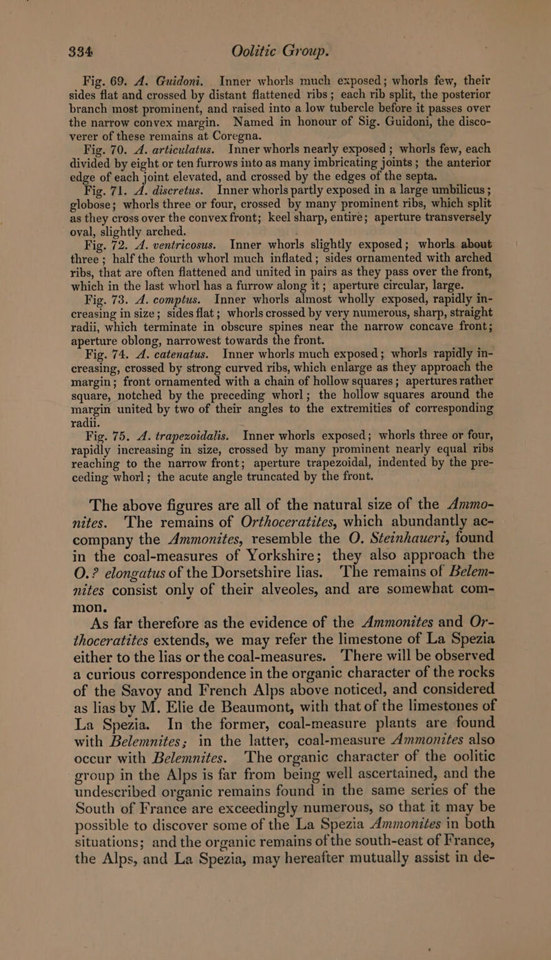 Fig. 69. 4. Guidoni. Inner whorls much exposed; whorls few, their sides flat and crossed by distant flattened ribs; each rib split, the posterior branch most prominent, and raised into a.low tubercle before it passes over the narrow convex margin. Named in honour of Sig. Guidoni, the disco- verer of these remains at Coregna. Fig. 70. A. articulatus. Inner whorls nearly exposed ; whorls few, each divided by eight or ten furrows into as many imbricating joints; the anterior edge of each joint elevated, and crossed by the edges of the septa. Fig. 71. A. discretus. Inner whorls partly exposed in a large umbilicus ; globose; whorls three or four, crossed by many prominent ribs, which split as they cross over the convex front; keel sharp, entire; aperture transversely oval, slightly arched. Fig. 72. 4. ventricosus. Inner whorls slightly exposed; whorls about three ; half the fourth whorl much inflated; sides ornamented with arched ribs, that are often flattened and united in pairs as they pass over the front, which in the last whorl has a furrow along it; aperture circular, large. Fig. 73. A. comptus. Inner whorls almost wholly exposed, rapidly in- creasing in size; sides flat; whorls crossed by very numerous, sharp, straight radii, which terminate in obscure spines near the narrow concave front; aperture oblong, narrowest towards the front. Fig. 74. A. catenatus. Inner whorls much exposed; whorls rapidly in- creasing, crossed by strong curved ribs, which enlarge as they approach the margin; front ornamented with a chain of hollow squares ; apertures rather square, notched by the preceding whorl; the hollow squares around the margin united by two of their angles to the extremities of corresponding radii. Fig. 75. A. trapezoidalis. Inner whorls exposed; whorls three or four, rapidly increasing in size, crossed by many prominent nearly equal ribs reaching to the narrow front; aperture trapezoidal, indented by the pre- ceding whorl; the acute angle truncated by the front. The above figures are all of the natural size of the Ammo- nites. The remains of Orthoceratites, which abundantly ac- company the Ammonites, resemble the O. Steinhaueri, found in the coal-measures of Yorkshire; they also approach the O.? elongatus of the Dorsetshire lias. ‘The remains of Belem- nites consist only of their alveoles, and are somewhat com- mon. As far therefore as the evidence of the Ammonites and Or- thoceratites extends, we may refer the limestone of La Spezia either to the lias or the coal-measures. ‘There will be observed a curious correspondence in the organic character of the rocks of the Savoy and French Alps above noticed, and considered as lias by M. Elie de Beaumont, with that of the limestones of La Spezia. In the former, coal-measure plants are found with Belemnites; in the latter, coal-measure Ammonites also occur with Belemnites. The organic character of the oolitic group in the Alps is far from being well ascertained, and the undescribed organic remains found in the same series of the South of France are exceedingly numerous, so that it may be possible to discover some of the La Spezia Ammoniées in both situations; and the organic remains of the south-east of France, the Alps, and La Spezia, may hereafter mutually assist in de-