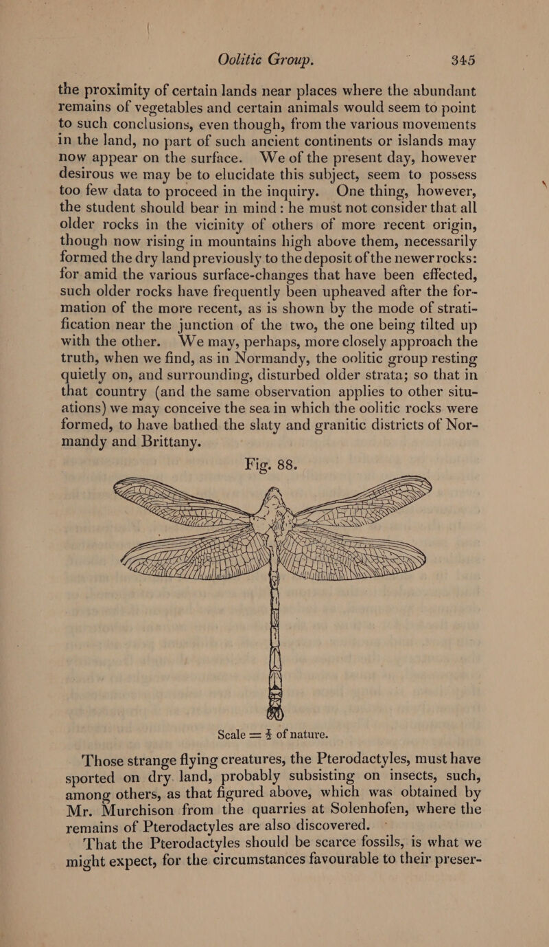 the proximity of certain lands near places where the abundant remains of vegetables and certain animals would seem to point to such conclusions, even though, from the various movements in the land, no part of such ancient continents or islands may now appear on the surface. We of the present day, however desirous we may be to elucidate this subject, seem to possess too few data to proceed in the inquiry. One thing, however, the student should bear in mind: he must not consider that all older rocks in the vicinity of others of more recent origin, though now rising in mountains high above them, necessarily formed the dry land previously to the deposit of the newer rocks: for amid the various surface-changes that have been effected, such older rocks have frequently been upheaved after the for- mation of the more recent, as is shown by the mode of strati- fication near the junction of the two, the one being tilted up with the other. We may, perhaps, more closely approach the truth, when we find, as in Normandy, the oolitic group resting quietly on, and surrounding, disturbed older strata; so that in that country (and the same observation applies to other situ- ations) we may conceive the sea in which the oolitic rocks were formed, to have bathed the slaty and granitic districts of Nor- mandy and Brittany. Fig bE— ~ Zs Kip y CSS (BS om Se na LSS Fee ae aN) COTTAM Scale = 4 of nature. Those strange flying creatures, the Pterodactyles, must have sported on dry. land, probably subsisting on insects, such, among others, as that figured above, which was obtained by Mr. Murchison from the quarries at Solenhofen, where the remains of Pterodactyles are also discovered. That the Pterodactyles should be scarce fossils, is what we might expect, for the circumstances favourable to their preser-