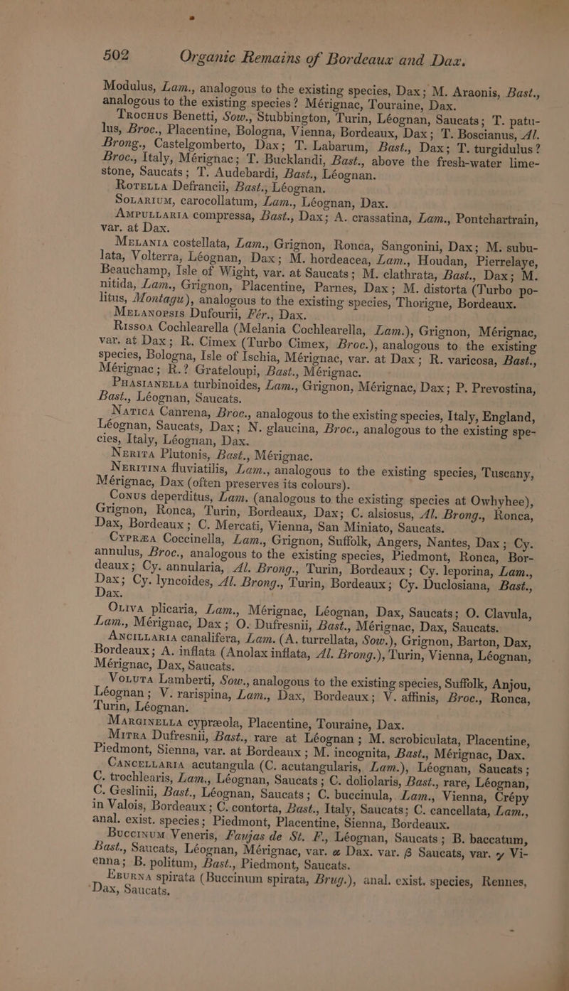 Modulus, Lam., analogous to the existing species, Dax; M. Araonis, Bast., analogous to the existing species ? Mérignac, Touraine, Dax. Trocuus Benetti, Sow., Stubbington, Turin, Léognan, Saucats; T. patu- lus, Broc., Placentine, Bologna, Vienna, Bordeaux, Dax; T. Boscianus, 4/. Brong., Castelgomberto, Dax; T. Labarum, Bast., Dax; T. turgidulus ? Broe., Italy, Mérignac; T. Bucklandi, Bast., above the fresh-water lime- stone, Saucats; T. Audebardi, Bast., Léognan. Roretxa Defrancii, Bast., Léognan. SOLARIUM, carocollatum, Lam., Léognan, Dax. AMPULLARIA compressa, Bast., Dax; A. crassatina, Zam., Pontchartrain, var. at Dax. . Meuania costellata, Lam., Grignon, Ronca, Sangonini, Dax; M. subu- lata, Volterra, Léognan, Dax; M. hordeacea, Lam., Houdan, Pierrelaye, Beauchamp, Isle of Wight, var. at Saucats; M. clathrata, Bast., Dax; M. nitida, Lam., Grignon, Placentine, Parnes, Dax; M. distorta (Turbo po- litus, Montagu), analogous to the existing species, Thorigne, Bordeaux. Mexanopsis Dufourii, Feér., Dax. Rissoa Cochlearella (Melania Cochlearella, Zam.), Grignon, Mérignac, var. at Dax; R. Cimex (Turbo Cimex, Broc.), analogous to. the existing species, Bologna, Isle of Ischia, Mérignac, var. at Dax; R. varicosa, Bast., Mérignac; R.? Grateloupi, Bast., Mérignac. PuAsIANELLA turbinoides, Lam., Grignon, Mérignac, Dax; P. Prevostina, Bast., Léognan, Saucats. Natica Canrena, Broc., analogous to the existing species, Italy, England, Léognan, Saucats, Dax; N. glaucina, Broc., analogous to the existing spe- cies, Italy, Léognan, Dax. Nerira Plutonis, Bast., Métignac. Neritina fluviatilis, Lam., analogous to the existing species, Tuscany, Mérignac, Dax (often preserves its colours). Conus deperditus, Zam. (analogous to the existing species at Owhyhee), Grignon, Ronca, Turin, Bordeaux, Dax; C. alsiosus, Al. Brong., Ronca, Dax, Bordeaux; C. Mercati, Vienna, San Miniato, Saucats. Cyprza Coccinella, Lam., Grignon, Suffolk, Angers, Nantes, Dax ; Cy. annulus, Broc., analogous to the existing species, Piedmont, Ronca, Bor- deaux; Cy. annularia, 41. Brong., Turin, Bordeaux ; Cy. leporina, Lam., we Cy. lyncoides, Al. Brong., Turin, Bordeaux; Cy. Duclosiana, Bast., ax, . Ouiva plicaria, Lam., Mérignac, Léognan, Dax, Saucats; O. Clavula, Lam., Mérignac, Dax; O- Dufresnii, Bast., Mérignac, Dax, Saucats. ANCILLARIA canalifera, Lam. (A. turrellata, Sow.), Grignon, Barton, Dax, Bordeaux; A. inflata (Anolax inflata, Al. Brong.), Turin, Vienna, Léognan, Mérignac, Dax, Saucats. Vo.uta Lamberti, Sow., analogous to the existing species, Suffolk, Anjou, Léognan; V. rarispina, Lam., Dax, Bordeaux; V. affinis, Broc., Ronca, Turin, Léognan. Mararnexta cypreola, Placentine, Touraine, Dax. Mirra Dufresnii, Bast., rare at Léognan ; M. scrobiculata, Placentine, Piedmont, Sienna, var. at Bordeaux ; M. incognita, Bast., Mérignac, Dax. CanceLLaria acutangula (C. acutangularis, Lam.), Léognan, Saucats; C. trochlearis, Lam., Léognan, Saucats ; C. doliolaris, Bast., rare, Léognan, C. Geslinii, Bast., Léognan, Saucats; C. buccinula, Lam., Vienna, Crépy in Valois, Bordeaux; C. contorta, Bast., Italy, Saucats; C. cancellata, Lam., anal. exist. species ; Piedmont, Placentine, Sienna, Bordeaux. Buccinum Veneris, Faujas de St. F., Léognan, Saucats; B. baccatum, Bast., Saucats, Léognan, Mérignac, var. « Dax. var. 6 Saucats, var, y Vi- enna; B. politum, Baszt., Piedmont, Saucats. Esurna spirata (Buccinun spirata, Brug.), anal. exist. species, Rennes, Dax, Saucats,