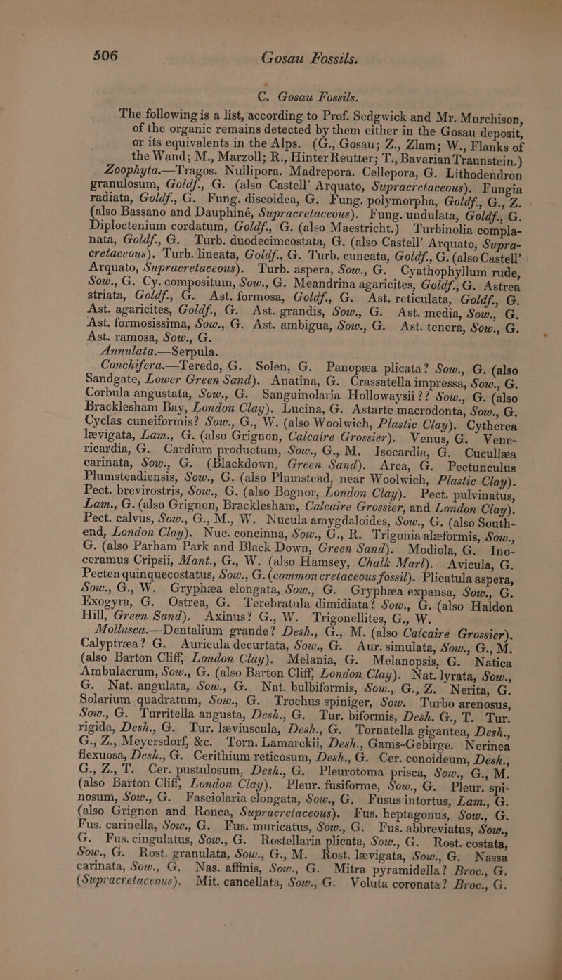 C. Gosau Fossils. The following is a list, according to Prof. Sedgwick and Mr. Murchison, of the organic remains detected by them either in the Gosau deposit, or its equivalents in the Alps. (G., Gosau; Z., Zlam; W., Flanks of the Wand; M., Marzoll; R., Hinter Reutter; T., Bavarian Traunstein. ) Zoophyta.—Tragos. Nullipora. Madrepora. Cellepora, G. Lithodendron granulosum, Goldf., G. (also Castell’ Arquato, Supracretaceous). Fungia radiata, Goldf., G. Fung. discoidea, G. Fung. polymorpha, Goldf., G., Z. (also Bassano and Dauphiné, Supracretaceous). F ung. undulata, Goldf., G. Diploctenium cordatum, Goldf., G. (also Maestricht.) Turbinolia compla- nata, Goldf., G. Turb. duodecimeostata, G. (also Castell’ Arquato, Supra- eretaceous). Turb. lineata, Goldf., G. Turb. cuneata, Goldf., G. (also Castell’ | Arquato, Supracretaceous). Turb. aspera, Sow., G. Cyathophyllum rude, Sow., G. Cy. compositum, Sow., G. Meandrina agaricites, Goldf.,G. Astrea striata, Goldf., G. Ast. formosa, Goldf., G. Ast. reticulata, Goldf., G. Ast. agaricites, Goldf., G. Ast. grandis, Sow., G. Ast. media, Sow., G. Ast. formosissima, Sow., G. Ast. ambigua, Sow., G. Ast. tenera, Sow., G. Ast. ramosa, Sow., G. Annulata.—Serpula. Conchifera.—Teredo, G. Solen, G. Panopza plicata? Sow., G. (also Sandgate, Lower Green Sand). Anatina, G. Crassatella impressa, Sow., G. Corbula angustata, Sow., G. Sanguinolaria Hollowaysii?? Sow., G. (also Bracklesham Bay, London Clay). Lucina, G. Astarte macrodonta, Sow., G. Cyclas cuneiformis? Sow., G., W. (also Woolwich, Plastic Clay). Cytherea levigata, Lam., G. (also Grignon, Calcaire Grossier). Venus, G. Vene- ricardia, G. Cardium productum, Sow., G., M. Isocardia, G. Cucullea carinata, Sow., G. (Blackdown, Green Sand). Arca, G. Pectunculus Plumsteadiensis, Sow., G. (also Plumstead, near Woolwich, Plastic Clay). Pect. brevirostris, Sow., G. (also Bognor, London Clay). Pect. pulvinatus, Lam., G. (also Grignon, Bracklesham, Calcaire Grosster, and London Clay). Pect. calvus, Sow., G., M., W. Nucula amygdaloides, Sow., G. (also South- end, London Clay). Nuc. concinna, Sow., G., R. Trigonia alzeformis, Souw., G. (also Parham Park and Black Down, Green Sand). Modiola, G. Ino- ceramus Cripsii, Mant., G., W. (also Hamsey, Chalk Marl). Avicula, G. Pecten quinquecostatus, Sow., G. (common cretaceous fossil). Plicatula aspera, Sow., G.. W. Gryphza elongata, Sow., G. Gryphza expansa, Sow., G. Exogyra, G. Ostrea, G. Terebratnla dimidiata? Sow., G. (also Haldon Hill, Green Sand). Axinus? G., W. ‘Trigonellites, G., W. Mollusca—Dentalium grande? Desh., G., M. (also Calcaire Grossier). Calyptreea? G. Auricula decurtata, Sow., G. Aur. simulata, Sow., G., M. (also Barton Cliff, London Clay). Melania, G. Melanopsis, G. Natica Ambulacrum, Sow., G. (also Barton Cliff, London Clay). Nat. lyrata, Sow., G. Nat. angulata, Sow., G. Nat. bulbiformis, Sow., G., Z. Nerita, G. Solarium quadratum, Sow., G. Trochus spiniger, Sow. Turbo arenosus, Sow., G. Turritella angusta, Desh., G. Tur. biformis, Desh. G., T. Tur. rigida, Desh., G. Tur. leviuscula, Desh., G. Tornatella gigantea, Desh., G., Z., Meyersdorf, &amp;c. Torn. Lamarckii, Desh., Gams-Gebirge. Nerinea flexuosa, Desh.,G. Cerithium reticosum, Desh., G. Cer. conoideum, Desh., G., Z., T. Cer. pustulosum, Desh., G. Pleurotoma prisca, Sow., G., M. (also Barton Cliff, London Clay). Pleur. fusiforme, Sow., G. Pleur. spi- nosum, Sow., G. Fasciolaria elongata, Sow., G. Fusus intortus, Lam., G. (also Grignon and Ronca, Supracretaceous). Fus. heptagonus, Sow., G. Fus. carinella, Sow., G. Fus. muricatus, Sow., G. Fus. abbreviatus, Sow., G. Fus. cingulatus, Sow., G. Rostellaria plicata, Sow., G. Rost. costata, Sow., G. Rost. granulata, Sow., G., M. Rost. leevigata, Sow., G. Nassa carinata, Sow., G. Nas. affinis, Sow., G. Mitra pyramidella? Broc., G. (Supracretaceous). Mit. cancellata, Sow., G: Voluta coronata? Broc., G.