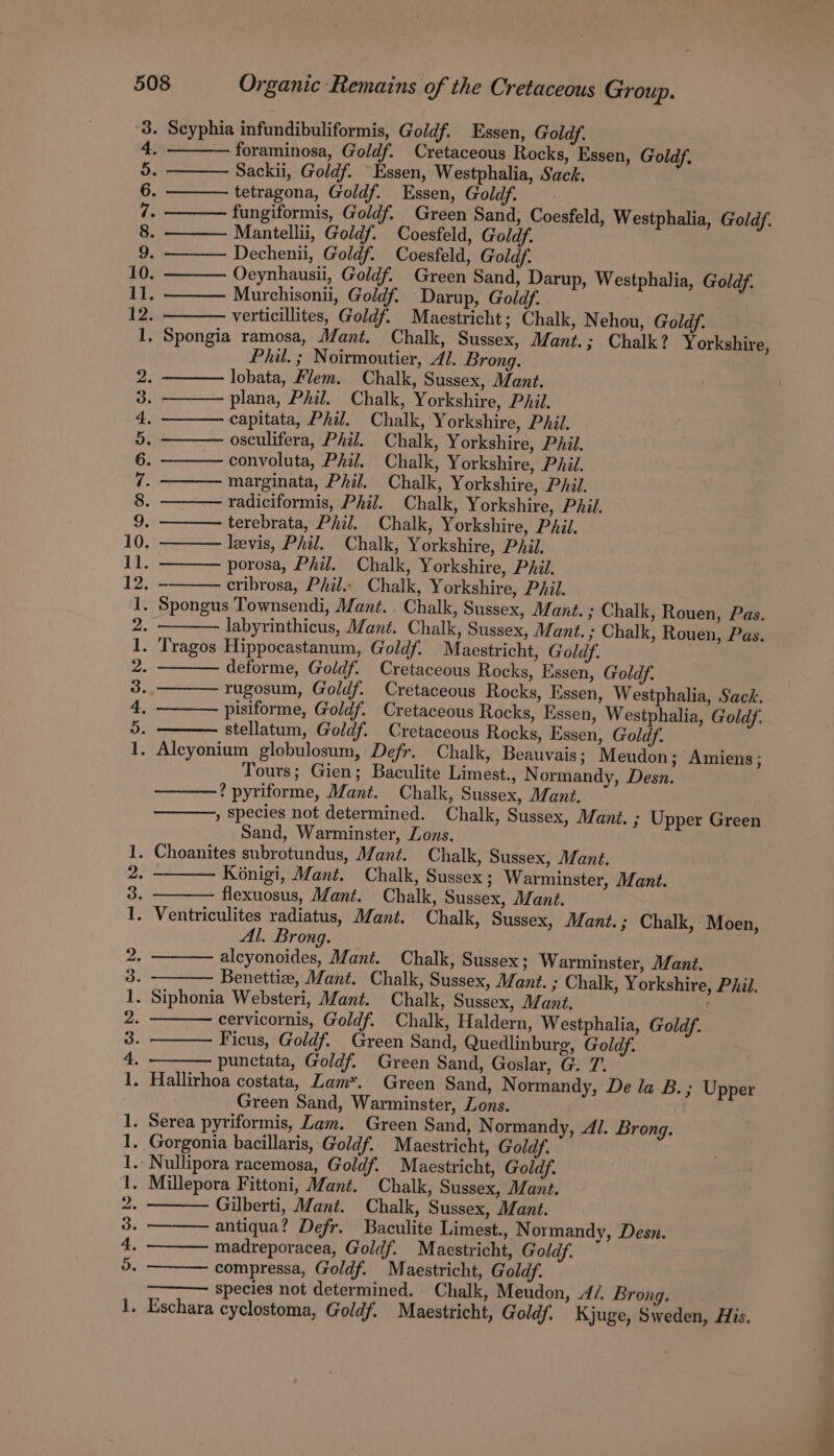 m0 bo ee — ll oe | PNA SOON DH pes jem SO I See oe bo ree ee et Cob gon oN foraminosa, Goldf. Cretaceous Rocks, Essen, Goldf. Sackii, Goldf. “Essen, Westphalia, Sack. tetragona, Goldf. Essen, Goldf. fungiformis, Goldf. Green Sand, Coesfeld, Westphalia, Goldf. Mantellii, Goldf. Coesfeld, Goldf. Dechenii, Goldf. Coesfeld, Goldf. Oeynhausii, Goldf. Green Sand, Darup, Westphalia, Goldf. Murchisonii, Goldf. Darup, Goldf. verticillites, Goldf. Maestricht; Chalk, Nehou, Goldf. Phil. ; Noirmoutier, Al. Brong. lobata, Flem. Chalk, Sussex, Mant. plana, Phil. Chalk, Yorkshire, Phil. capitata, Phil. Chalk, Yorkshire, Pail. osculifera, Phil. Chalk, Yorkshire, Phil. convoluta, Phil. Chalk, Yorkshire, Phil. marginata, Phil. Chalk, Yorkshire, Phil. radiciformis, Phil. Chalk, Yorkshire, Phil. terebrata, Phil. Chalk, Yorkshire, Phil. levis, Phil. Chalk, Yorkshire, Phil. porosa, Phil. Chalk, Yorkshire, Phil. cribrosa, Phil. Chalk, Yorkshire, Phil. labyrinthicus, Mant. Chalk, Sussex, Mant. ; Chalk, Rouen, Pas. deforme, Goldf. Cretaceous Rocks, Essen, Goldf. rugosum, Goldf. Cretaceous Rocks, Essen, Westphalia, Sack. pisiforme, Goldf. Cretaceous Rocks, Essen, Westphalia, Goldf. stellatum, Goldf. Cretaceous Rocks, Essen, Goldf. Tours; Gien; Baculite Limest., N ormandy, Desn. ? pyriforme, Mant. Chalk, Sussex, Mant. » Species not determined. Chalk, Sussex, Mant. ; Upper Green Sand, Warminster, Zons. Kénigi, Mant. Chalk, Sussex ; Warminster, Mant. flexuosus, Mant. Chalk, Sussex, Mant. Al. Brong. alcyonoides, Mant. Chalk, Sussex; Warminster, Mant. Benetti, Mant. Chalk, Sussex, Mant. ; Chalk, Yorkshire, Phil. cervicornis, Goldf. Chalk, Haldern, Westphalia, Goldf. Ficus, Goldf. Green Sand, Quedlinburg, Goldf. punctata, Goldf. Green Sand, Goslar, G. 7. Green Sand, Warminster, Lons. Gilberti, Mant. Chalk, Sussex, Mant. antiqua? Defr. Baculite Limest., Normandy, Desn. madreporacea, Goldf. Maestricht, Goldf. compressa, Goldf. Maestricht, Goldf. ——— species not determined. Chalk, Meudon, 4/. Brong.