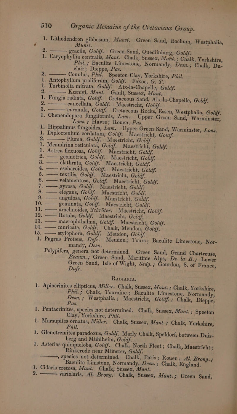 bed ped feed fad Pm ON h— bent OU mt CODD mS he me bb iy PO GON D Ov ROO NS no Munst. gracile, Goldf. Green Sand, Quedlinburg, Goldf. Phil. ; Baculite Limestone, Normandy, Desn. ; Chalk, Du- clair; Dieppe, Pas. Conulus, Phil. Speeton Clay, Yorkshire, Phil. Keenigi, Mant. Gault, Sussex, Mant. cancellata, Goldf. Maestricht, Goldf. | coronula, Goldf. Cretaceous Rocks, Essen, Westphalia, Goldf. Lons.; Havre; Rouen, Pas. Pluma, Goldf. . Maestricht, Goldf. geometrica, Goldf. Maestricht, Goldf. clathrata, Goldf. Maestricht, Goldf. ——- escharoides, Goldf. Maestricht, Goldf. textilis, Goldf. Maestricht, Goldy. velamentosa, Goldf. Maestricht, Goldf. —— gyrosa, Goldf. Maestricht, Goldy. elegans, Goldf. Maestricht, Goldf. angulosa, Goldf. Maestricht, Goldf. geminata, Goldf. Maestricht, Goldf. arachnoides, Schréter. Maestricht, Goldf. Rotula, Goldf. Maestricht, Goldf. muricata, Goldf. Chalk, Meudon, Goldf. stylophora, Goldf. Meudon, Goldf. mandy, Desn. Polypifers, genera not determined. Green Sand, Grand Chartreuse, Beaum.; Green Sand, Maritime Alps, De la B.; Lower Green Sand, Isle of Wight, Sedg.; Gourdon, S. of France, Dufr. RapIARIA. Phil. ; Chalk, Touraine; Baculite Limestone, Normandy, Desn. ; Westphalia ; Maestricht, Goldf. ; Chalk, Dieppe, Pas. Clay, Yorkshire, Phil. Phil. berg and Miihlheim, Goldf. Rinkerode near Miinster, Goldf. » Species not determined. Chalk, Paris; Rouen ; i. Brong. ; Baculite Limstone, Normandy, Desn. ; Chalk, England. variolaris, 4i, Brong. Chalk, Sussex, Mant. ; Green Sand,