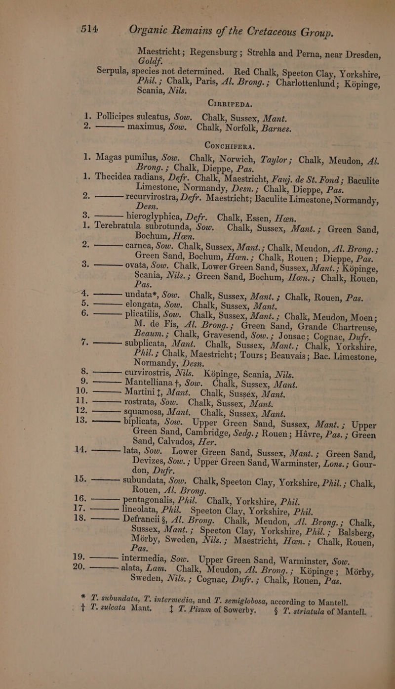 : ~ moo oN Sr os ae Ty, 19, 20. Maestricht; Regensburg ; Strehla and Perna, near Dresden, Goldf. . Serpula, species not determined. Red Chalk, Speeton Clay, Yorkshire, Phil. ; Chalk, Paris, 4. Brong. ; Charlottenlund ; Képinge, Scania, JVils. CrirrIPEDA. maximus, Sow. Chalk, Norfolk, Barnes. ConcHIFERA. Brong. ; Chalk, Dieppe, Pas. Limestone, N ormandy, Desn.; Chalk, Dieppe, Pas. recurvirostra, Defr. Maestricht; Baculite Limestone, Normandy, esn. hieroglyphica, Defr. Chalk, Essen, Hen. Bochum, Heen. carnea, Sow. Chalk, Sussex, Mant. ; Chalk, Meudon, Al. Brong. ; Green Sand, Bochum, Hen. ; Chalk, Rouen; Dieppe, Pas. ovata, Sow. Chalk, Lower Green Sand, Sussex, Mant. ; Képinge, Scania, Nils. ; Green Sand, Bochum, Heen. ; Chalk, Rouen, Pas. undata*, Sow. Chalk, Sussex, Mant. ; Chalk, Rouen, Pas. elongata, Sow. Chalk, Sussex, Mant. plicatilis, Sow. Chalk, Sussex, Mant. ; Chalk, Meudon, Moen; M. de Fis, 1. Brong.; Green Sand, Grande Chartreuse, Beaum.; Chalk, Gravesend, Sow. 3 Jonsac; Cognac, Dufr. subplicata, Mant. Chalk, Sussex, Mant. ; Chalk, Yorkshire, Phil. ; Chalk, Maestricht ; Tours; Beauvais; Bac. Limestone, Normandy, Desn. curvirostris, Nils. K6pinge, Scania, Nils. Mantelliana +, Sow. Chalk, Sussex, Mant. squamosa, Mant. Chalk, Sussex, Mant. Green Sand, Cambridge, Sedg.; Rouen; Havre, Pas. ; Green Sand, Calvados, Her. lata, Sow. Lower Green Sand, Sussex, Mant. ; Green Sand, Devizes, Sow. ; Upper Green Sand, Warminster, ons. ; Gour- don, Dufr. ‘af subundata, Sow. Chalk, Speeton Clay, Yorkshire, Phil. ; Chalk, Rouen, 4/. Brong. pentagonalis, Phil. Chalk, Yorkshire, Phil. lineolata, Phil. Speeton Clay, Yorkshire, PAil. Defrancii §, .4/. Brong. Chalk, Meudon, Al. Brong.; Chalk, Sussex, Mant. ; Speeton Clay, Yorkshire, PAil. ; Balsberg, Morby, Sweden, Nils. ; Maestricht, Hen. ; Chalk, Rouen, Pas. intermedia, Sow. Upper Green Sand, Warminster, Sow. alata, Zam. Chalk, Meudon, Al. Brong.; Képinge ; Morby, Sweden, Nils. ; Cognac, Dufr. ; Chalk, Rouen, Pas.