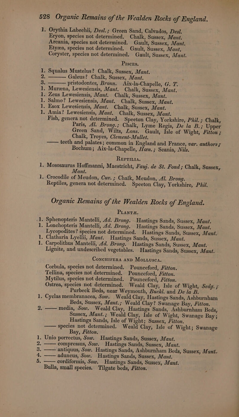 jt oe ell ell eel ae SO OE ory o9 bo Orythia Labechii, Desi. ; Green Sand, Calvados, Desi. Eryon, species not determined. Chalk, Sussex, Mant. Arcania, species not determined. Gault, Sussex, Mant. Etyza, species not determined. Gault, Sussex, Mant. Coryster, species not determined. Gault, Sussex, Mant. Piscrs. Galeus? Chalk, Sussex, Mant. , pristodontes, Bronn. Aix-la-Chapelle, G. 7. Fish, genera not determined. Speeton Clay, Yorkshire, Phil. ; Chalk, Paris, dl. Brong.; Chalk, Lyme Regis, De la B.; Upper Green Sand, Wilts, Lons. Gault, Isle of Wight, Fitton ; Chalk, Troyes, Clement-Mullet. teeth and palates; common in England and France, var. authors s Bochum; Aix-la-Chapelle, Hen. ; Scania, Nils. Reprinia. Mant. Reptiles, genera not determined. Speeton Clay, Yorkshire, Phil. Organic Remains of the Wealden Rocks of England. PLant2z. Lycopodites? species not determined. Hastings Sands, Sussex, Mant. Lignite, and undescribed vegetables. Hastings Sands, Sussex, Mant. ConcHIFERA AND Motu.usca. Corbula, species not determined. Pounceford, Fitton. Tellina, species not determined. Pounceford, Fitton. Mytilus, species not determined. Pounceford, Fitton. Ostrea, species not determined. Weald Clay, Isle of Wight, Sedg. Purbeck Beds, near Weymouth, Buckl. and De la B. Beds, Sussex, Mant.; Weald Clay? Swanage Bay, Fitton. media, Sow. Weald Clay, Hastings Sands, Ashburnham Beds, Sussex, Mant.; Weald Clay, Isle of Wight, Swanage Bay; Hastings Sands, Isle of Wight; Sussex, Fitton. species not determined. Weald Clay, Isle of Wight; Swanage Bay, Fitton. compressus, Sow. Hastings Sands, Sussex, Mant. antiquus, Sow. Hastings Sands, Ashburnham Beds, Sussex, Mant. cordiformis, Sow. Hastings Sands, Sussex, Mant. Bulla, small species. Tilgate beds, Fitton. i