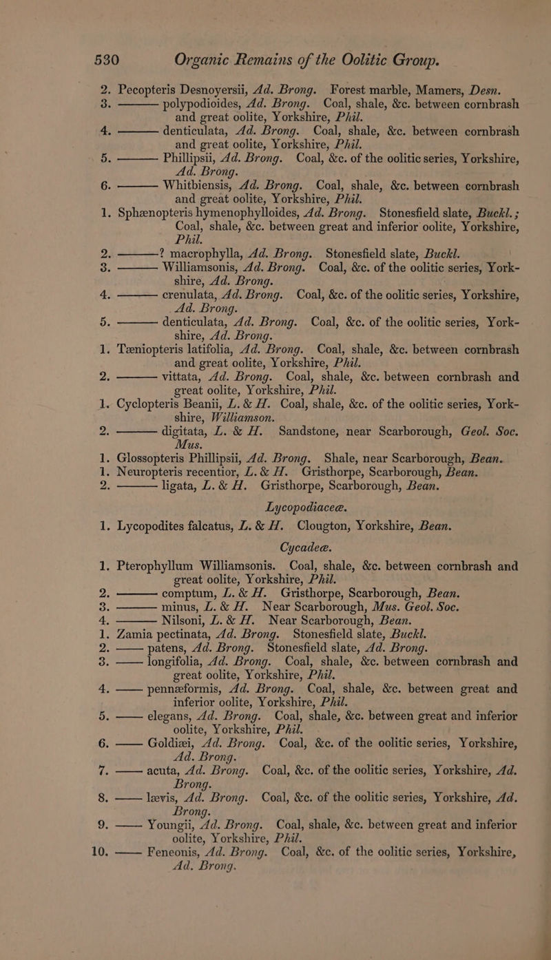 a prea - x oR we OS YP MD A KR SE wot polypodioides, 4d. Brong. Coal, shale, &amp;c. between cornbrash and great oolite, Yorkshire, Phi. denticulata, 4d. Brong. Coal, shale, &amp;c. between cornbrash and great oolite, Yorkshire, Pil. Phillipsii, 4d. Brong. Coal, &amp;c. of the oolitic series, Yorkshire, Ad. Brong. Whitbiensis, 4d. Brong. Coal, shale, &amp;c. between cornbrash and great oolite, Yorkshire, Phil. Coal, shale, &amp;c. between great and inferior oolite, Yorkshire, Phil. —— macrophylla, dd. Brong. Stonesfield slate, Buckl. Williamsonis, 4d. Brong. Coal, &amp;c. of the oolitic, series, York- shire, 4d. Brong. crenulata, 4d. Brong. Coal, &amp;c. of the oolitic series, Yorkshire, Ad. Brong. denticulata, 4d. Brong. Coal, &amp;c. of the oolitic series, York- shire, dd. Brong. and great oolite, Yorkshire, PAzl. vittata, 4d. Brong. Coal, shale, &amp;c. between cornbrash and great oolite, Yorkshire, Phi. shire, Williamson. digitata, ZL. &amp; H. Sandstone, near Scarborough, Geol. Soc. Mus. ligata, L.&amp; H. Gristhorpe, Scarborough, Bean. Lycopodiacee. Cycadee. great oolite, Yorkshire, Phil. comptum, L.&amp; H. Gristhorpe, Scarborough, Bean. minus, L.&amp; H. Near Scarborough, Mus. Geol. Soc. Nilsoni, Z. &amp; H. Near Scarborough, Bean. patens, 4d. Brong. Stonesfield slate, dd. Brong. longifolia, 4d. Brong. Coal, shale, &amp;c. between cornbrash and great oolite, Yorkshire, Phil. penneeformis, 4d. Brong. Coal, shale, &amp;c. between great and inferior oolite, Yorkshire, Phil. elegans, 4d. Brong. Coal, shale, &amp;c. between great and inferior oolite, Yorkshire, Phil. Goldizi, dd. Brong. Coal, &amp;c. of the oolitic series, Yorkshire, Ad. Brong. —— acuta, dd. Brong. Coal, &amp;c. of the oolitic series, Yorkshire, 4d. Brong. — levis, dd. Brong. Coal, &amp;c. of the oolitic series, Yorkshire, 4d. Brong. Youngii, 4d. Brong. Coal, shale, &amp;c. between great and inferior oolite, Yorkshire, Phil. Feneonis, 4d. Brong. Coal, &amp;c. of the oolitic series, Yorkshire, Ad, Brong.