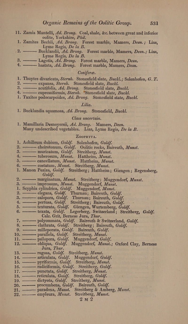 foxd ed Cran bo to bo Ne Oo aie ade eee &gt; UR Oo NS — Sew AMAwN oN ee | OND Hyp oo ; Organic Remains of the Oolitic Group. | 531 oolite, Yorkshire, Phil. Lyme Regis, De la B. Bucklandii, 4d. Brong. Forest marble, Mamers, Desn.; Lias, Lyme Regis, De la B. Lagotis, dd. Brong. Forest marble, Mamers, Desn. hastata, dd. Brong. Forest marble, Mamers, Desn. Conifere. expansa, Sternb. Stonesfield slate, Buckl. acutifolia, 4d. Brong. Stonesfield slate, Buckl. cupressiformis, Sternb. °Stonesfield slate, Buckl. Lilia. Class uncertain. Many undescribed vegetables. Lias, Lyme Regis, De la B. ZOOPHYTA. cheirotonum, Goldf. Oolitic rocks, Baireuth, Munst. muricatum, Goldf. Streitberg, Munst. tuberosum, Munst. Hattheim, Munst. cancellatum, Munst. Hattheim, Munst. costatum, Munst. Streitberg, Munst. Manon Nea Streitberg; Hattheim; Giengen; Regensberg, Goldf. marginatum, Munst. Streitberg; Muggendorf, Munst. impressum, Munst. Muggendorf, Munst. elegans, Goldf. Thurnau; Baireuth, Goldf. ealopora, Goldf. Thurau; Baireuth, Goldy. pertusa, Goldf. Streitberg; Baireuth, Goldf. texturata, Goldf. Giengen, Wurtemberg, Goldf. texata, Goldf. Legerberg, Switzerland; Streitherg, Goldf. Calc. Grit, Bernese Jura, Thur.. polyommata, Goldf. Baireuth &amp; Switzerland, Goldf. clathrata, Goldf. Streitberg; Baireuth, Goldf. parallela, Goldf. Streitberg, Munst. psilopora, Goldf. Muggendorf, Goldf. obliqua, Goldf. Muggendorf, Munst.; Oxford Clay, Bernese Jura, Thur. rugosa, Goldf. Streitberg, Munst. articulata, Goldf. Muggendorf, Goldf. pyriformis, Goldf. Streitberg, Munst. radiciformis, Goldf. Streitberg, Goldf. reticulata, Goldf. Streitberg, Goldf. dictyota, Goldf. Streitberg, Munst. procumbens, Goldf. Baireuth, Goldf. paradoxa, Munst. Streitberg &amp; Amberg, Munst. 2m 2