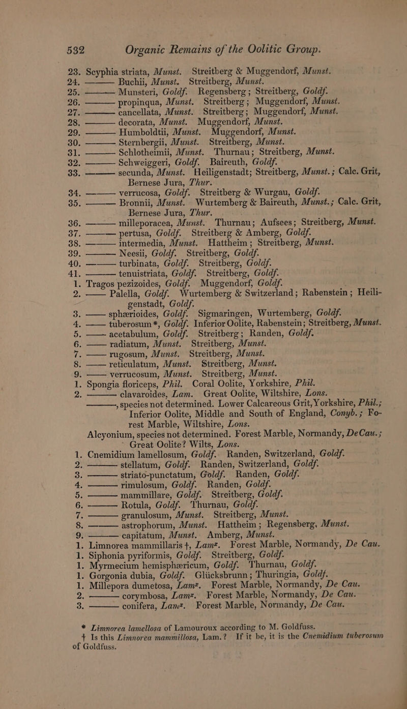 Munsteri, Goldf. Regensberg; Streitberg, Goldf. propinqua, Munst. Streitberg; Muggendorf, Munst. cancellata, Munst. Streitberg; Muggendorf, Munst. decorata, Munst. Muggendorf, Munst. Humboldtii, Munst. Muggendorf, Munst. Sternbergii, Munst. Streitberg, Munst. Schlotheimii, Munst. Thurnau; Streitberg, Munst. Schweiggeri, Goldf. Baireuth, Goldf. Bernese Jura, Thur. 34. — verrucosa, Goldf. Streitberg &amp; Wurgau, Goldf. 35. ——— Bronnii, Munst. Wurtemberg &amp; Baireuth, Munst.; Cale. Grit, Bernese Jura, Thur. 36. ——— milleporacea, Munst. Thurnau; Aufsees; Streitberg, Munst. 37. ——— pertusa, Goldf. Streitberg &amp; Amberg, Goldf. 38. — intermedia, Munst. Hattheim; Streitberg, Munst. 39. ——— Neesii, Goldf. Streitberg, Goldf. 40. ——— turbinata, Goldf. Streitberg, Goldf. 41. — tenuistriata, Goldf. Streitberg, Goldf. 1. Tragos pezizoides, Goldf. Muggendorf, Goldf. 2 Palella, Goldf. Wurtemberg &amp; Switzerland; Rabenstein ; Heili- genstadt, Goldf. 3. spherioides, Goldf. Sigmaringen, Wurtemberg, Goldf. 4, —— tuberosum*, Goldf. Inferior Oolite, Rabenstein; Streitberg, Munst. 5. acetabulum, Goldf. Streitberg; Randen, Goldf. 6. radiatum, Munst. Streitberg, Munst. 7. ——rugosum, Munst. Streitberg, Munst. 8. reticulatum, Munst. Streitberg, Munst. 9 verrucosum, Munst. Streitberg, Munst. 1. Spongia floriceps, Phil. Coral Oolite, Yorkshire, Phil. 2. clavaroides, Lam. Great Oolite, Wiltshire, Lons. ONE EO ONS RN o , species not determined. Lower Calcareous Grit, Yorkshire, PAil.; Inferior Oolite, Middle and South of England, Conyb.; Fo- rest Marble, Wiltshire, Lons. Alcyonium, species not determined. Forest Marble, Normandy, DeCaw. ; ’ Great Oolite? Wilts, Lons. Cnemidium lamellosum, Goldf.. Randen, Switzerland, Goldf. : stellatum, Goldf. Randen, Switzerland, Goldf. striato-punctatum, Goldf. Randen, Goldy. rimulosum, Goldf. Randen, Goldf. mammillare, Goldf. Streitberg, Goldf. Rotula, Goldf. Thurnau, Goldf. granulosum, Munst. Streitberg, Munst. astrophorum, Munst. Hattheim; Regensberg, Munst. capitatum, Munst.. Amberg, Munst. corymbosa, Lam. Forest Marble, Normandy, De Cau. conifera, Lam*. Forest Marble, Normandy, De Caw.