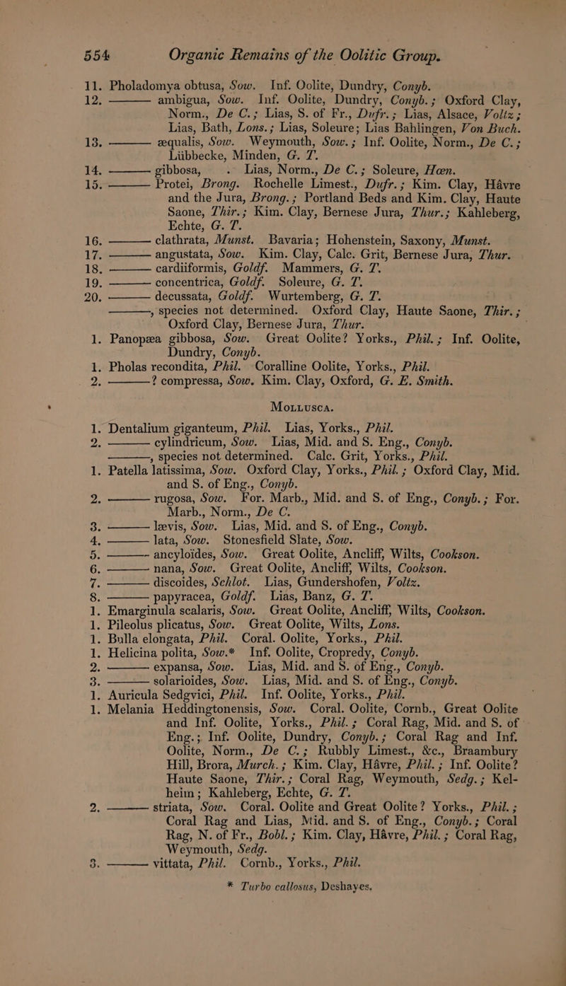 Ne w= —_ o&gt; Sataee en tata eee De ne Pholadomya obtusa, Sow. Inf. Oolite, Dundry, Conyb. ambigua, Sow. Inf. Oolite, Dundry, Conyb.; Oxford Clay, Norm., De C.; Lias, S. of Fr., Dufr.; Lias, Alsace, Voltz ; Lias, Bath, Lons.; Lias, Soleure; Lias Bahlingen, Von Buch. zqualis, Sow. Weymouth, Sow.; Inf. Oolite, Norm., De C.; Liibbecke, Minden, G. 7. gibbosa, . Lias, Norm., De C.; Soleure, Hen. Protei, Brong. Rochelle Limest., Dufr.; Kim. Clay, Havre and the Jura, Brong. ; Portland Beds and Kim. Clay, Haute Saone, T’hir.; Kim. Clay, Bernese Jura, Thur.; Kahleberg, Echte, G. 7. clathrata, Munst. Bavaria; Hohenstein, Saxony, Munst. angustata, Sow. Kim. Clay, Calc. Grit, Bernese Jura, Thur. cardiiformis, Goldf. Mammers, G. 7. concentrica, Goldf. Soleure, G. 7. decussata, Goldf. Wurtemberg, G. 7. , species not determined. Oxford Clay, Haute Saone, Thir. ; Oxford Clay, Bernese Jura, Thur. j Dundry, Conyb. ? compressa, Sow. Kim. Clay, Oxford, G. E. Smith. Mo .uvsca. cylindricum, Sow. Lias, Mid. and S. Eng., Conyb. , species not determined. Calc. Grit, Yorks., Phil. and 8S. of Eng., Conyb. rugosa, Sow. For. Marb., Mid. and S. of Eng., Conyb.; For. Marb., Norm., De C. levis, Sow. lias, Mid. and 8. of Eng., Conyb. lata, Sow. Stonesfield Slate, Sow. - ancyloides, Sow. Great Oolite, Ancliff, Wilts, Cookson. nana, Sow. Great Oolite, Ancliff, Wilts, Cookson. discoides, Schlot. Lias, Gundershofen, Voléz. papyracea, Goldf. Lias, Banz, G. 7. expansa, Sow. Lias, Mid. and S. of Eng., Conyb. solarioides, Sow. Lias, Mid. and S. of Eng., Conyb. and Inf. Oolite, Yorks., Phil. ; Coral Rag, Mid. and §. of » Eng.;. Inf. Oolite, Dundry, Conyb.; Coral Rag and Inf. Oolite, Norm., De C.; Rubbly Limest., &amp;c., Braambury Hill, Brora, Murch. ; Kim. Clay, Havre, Phil. ; Inf. Oolite? Haute Saone, Zhir.; Coral Rag, Weymouth, Sedg.; Kel- heim; Kahleberg, Echte, G. 7. striata, Sow. Coral. Oolite and Great Oolite? Yorks., Pail. ; Coral Rag and Lias, Mid. and S. of Eng., Conyb.; Coral Rag, N. of Fr., Bobl.; Kim. Clay, Havre, Phil. ; Coral Rag, Weymouth, Sedg. vittata, Phil. Cornb., Yorks., Phil. * Turbo callosus, Deshayes.