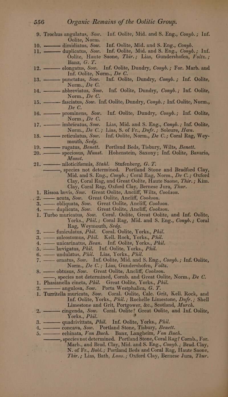 9, Trochus angulatus, Sow. Inf. Oolite, Mid. and S. Eng., Conyb. ; Inf. Oolite, Norm. 10. dimidiatus, Sow. Inf. Oolite, Mid. and S. Eng., Conyb. 1a duplicatus, Sow. Inf. Oolite, Mid. and S. Eng., Conyb.; Inf. Oolite, Haute Saone, Thir.; Lias, Gundershofen, Voltz. ; Banz, G. 7. rt me bf elongatus, Sow. Inf. Oolite, Dundry, Conyb. ; For. Marb. and Inf. Oolite, Norm., De C. 13. punctatus, Sow. Inf. Oolite, Dundry, Conyb. ; Inf. Oolite, Norm., De C. 14. abbreviatus, Sow. Inf. Oolite, Dundry, Conyb.; Inf. Oolite, Norm., De C. 15. fasciatus, Sow. Inf. Oolite, Dundry, Conyb. ; Inf. Oolite, Norm., De C. 16. prominens, Sow. Inf. Oolite, Dundry, Conyb.; Inf. Oolite, Norm., De C. 17. -——— imbricatus, Sow. Lias, Mid. and 8. Eng., Conyb. ; Inf. Oolite, Norm., De C.; Lias, 8. of Fr., Dufr. ; Soleure, Hoen. . 18. ——— reticulatus, Sow. Inf. Oolite, Norm., De C.; Coral Rag, Wey- mouth, Sedg. 19. rugatus, Benett. Portland Beds, Tisbury, Wilts, Benet. 20. . speciosus, Munst. Hohenstein, Saxony; Inf. Oolite, Bavaria, Munst. 21. niloticiformis, Stahl. Stufenberg, G. 7. , Species not determined. Portland Stone and Bradford Clay, Mid. and S. Eng., Conyb. ; Coral Rag, Norm., De C.; Oxford Clay, Coral Rag, and Great Oolite, Haute Saone, Zhir. ; Kim. Clay, Coral Rag, Oxford Clay, Bernese Jura, Thur. 1. Rissoa levis, Sow. Great Oolite, Ancliff, Wilts, Cookson. (hes acuta, Sow. Great Oolite, Ancliff, Cookson. 3. obliquata, Sow. Great Oolite, Ancliff, Cookson, 4, duplicata, Sow. Great Oolite, Ancliff, Cookson. 1. Turbo muricatus, Sow. Coral. Oolite, Great Oolite, and Inf. Oolite, Yorks., Pha. ; Coral Rag, Mid. and S. Eng., Conyb. ; Coral Rag, Weymouth, Sedg. 2 funiculatus, Phil. Coral. Oolite, Yorks., Phil. 3. sulcostomus, Phil. Kell. Rock, Yorks., Phi. 4, unicarinatus, Bean. Inf. Oolite, Yorks., Phil. 5. —— levigatus, Phil. Inf. Oolite, Yorks., Phil. 6. undulatus, Phil. . Lias, Yorks., Phil. fs ornatus, Sow. Inf. Oolite, Mid. and S. Eng., Conyb. ; Inf. Oolite, Norm., De C.; Lias, Gundershofen, Voltz. 8. obtusus, Sow. Great Oolite, Ancliff, Cookson. , species not determined, Cornb. and Great Oolite, Norm., De C. 1. Phasianella cincta, Phil. Great Oolite, Yorks., Phil. 2. angulosa, Sow. Porta Westphalica, G. 7. 1. Turritella muricata, Sow. Coral. Oolite, Cale. Grit, Kell. Rock, and Inf. Oolite, Yorks., Phil. ; Rochelle Limestone, Dufr.; Shell Limestone and Grit, Portgower, &amp;c., Scotland, Murch. Aaa cingenda, Sow. Coral. Oolite? Great Oolite, and Inf. Oolite, Yorks., Phil. . 3. quadrivittata, Phil. Inf. Oolite, Yorks., Pil. 4. concava, Sow. Portland Stone, Tisbury, Benett. 5. echinata, Von Buch. Banz, Langheim, Von Buch. , species not determined. Portland Stone, Coral Rag? Cornb., For. Marb., and Brad. Clay, Mid. and S. Eng., Conyb.; Brad. Clay, N. of Fr., Bobi. ; Portland Beds and Coral Rag, Haute Saone, Thir. ; Lias, Bath, Lons, ; Oxford Clay, Bernese Jura, Thur.