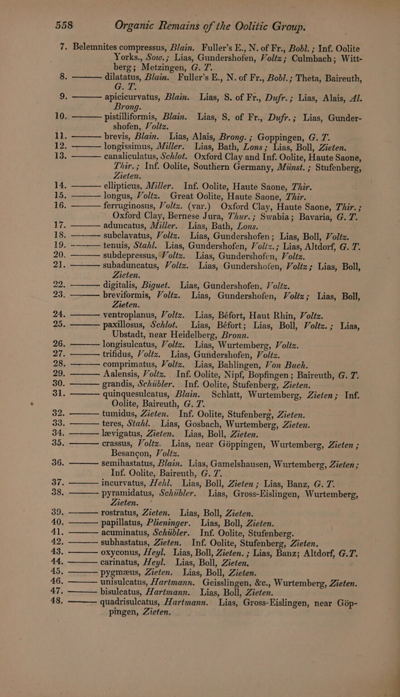 7. Belemnites compressus, Blain. Fuller’s E., N. of Fr., Bobl. ; Inf. Oolite Yorks., Sow.; Lias, Gundershofen, Voléz; Culmbach; Witt- berg; Metzingen, G. 7. 8. dilatatus, Blain. Fuller’s E., N. of Fr., Bobi.; Theta, Baireuth, Gul: 9. apicicurvatus, Blain. Lias, S. of Fr., Dufr.; Lias, Alais, Al. Brong. 10. pistilliformis, Blain. Lias, S. of Fr., Dufr.; Lias, Gunder- shofen, Voléz. 11. brevis, Blain. Lias, Alais, Brong. ; Goppingen, G. 7. 12. longissimus, Miller. Lias, Bath, Lons; Lias, Boll, Zieten. 13. canaliculatus, Schlot. Oxford Clay and Inf. Oolite, Haute Saone, Lhir. ; Inf. Oolite, Southern Germany, Miinst. ; Stufenberg, Zieten. 14, ellipticus, Miller. Inf. Oolite, Haute Saone, Thir. 15, longus, Voltz. Great Oolite, Haute Saone, Thir. 16. ferruginosus, Voltz. (var.) Oxford Clay, Haute Saone, Thir. ; Oxford Clay, Bernese Jura, Thur.; Swabia; Bavaria, G. 7. 17. aduncatus, Miller. Lias, Bath, Lons. 18. subclavatus, Voltz. Lias, Gundershofen; Lias, Boll, Voltz. 19, - tenuis, Stah/, Lias, Gundershofen, Voliz.; Lias, Altdorf, G. 7. 20 subdepressus, Voléz. Lias, Gundershofen, Voltz. 21 subaduncatus, Voliz. Lias, Gundershofen, Voltz; Lias, Boll, Zicten. 22: digitalis, Biguet. Lias, Gundershofen, Voléz. 23. breviformis, Voltz. Lias, Gundershofen, Voléz; Lias, Boll, Zieten. 24. ventroplanus, Voltz. Lias, Béfort, Haut Rhin, Voltz. 25. paxillosus, Schlot. Lias, Béfort; Lias, Boll, Voltz.; Lias, Ubstadt, near Heidelberg, Bronn. 26. longisulcatus, Voltz. Lias, Wurtemberg, Voltz. 27. trifidus, Voltz. Lias, Gundershofen, Voltz. 28. comprimatus, Voltz. Lias, Bahlingen, Von Buch. 29. Aalensis, Voltz. Inf. Oolite, Nipf, Bopfingen; Baireuth, G. 7. 30. grandis, Schibler. Inf. Oolite, Stufenberg, Zieten. 31. quinquesulcatus, Blain. Schlatt, Wurtemberg, Zieten; Inf. Oolite, Baireuth, G. 7. 32. tumidus, Zieten. Inf. Oolite, Stufenberg, Zieten. 33. teres, Stahl. Lias, Gosbach, Wurtemberg, Zieten. 34. leevigatus, Zieten. Lias, Boll, Zieten. 35. crassus, Voltz. Lias, near Géppingen, Wurtemberg, Zieten ; Besancon, Voltz. | 36 semihastatus, Blain. Lias, Gamelshausen, Wurtemberg, Zieten ; Inf. Oolite, Baireuth, G. 7’. 37. incurvatus, Hehl. Lias, Boll, Zieten ; Lias, Banz, G. T. 38. pyramidatus, Schibler. Lias, Gross-Eislingen, Wurtemberg, Zieten. 39 rostratus, Zieten. Lias, Boll, Zieten. 40 papillatus, Plieninger. Lias, Boll, Zieéen. 41, acuminatus, Schdbler. Inf. Oolite, Stufenberg. 42 subhastatus, Zieten. Inf. Oolite, Stufenberg, Zieten. 43. oxyconus, Heyl, Lias, Boll, Zieten. ; Lias, Banz; Altdorf, G.7. 44. carinatus, Heyl. Lias, Boll, Zieten, 45 pygmeeus, Zieten. Lias, Boll, Zieten. 46 unisulcatus, Hartmann. Geisslingen, &amp;c., Wurtemberg, Zieten. 47. bisulcatus, Hartmann. Lias, Boll, Zieten. 48 quadrisulcatus, Hartmann. Lias, Gross-Eislingen, near Gop- pingen, Zieten.