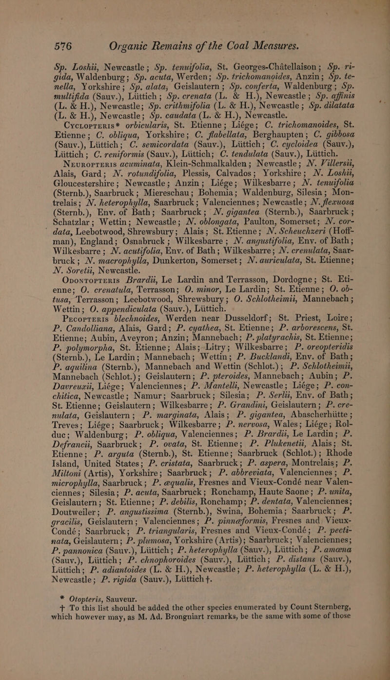 Sp. Loshii, Newcastle; Sp. tenuifolia, St. Georges-Chatellaison ; Sp. ri- gida, Waldenburg; Sp. acuta, Werden; Sp. trichomanoides, Anzin; Sp. te- nella, Yorkshire; Sp. alata; Geislautern ; Sp. conferta, Waldenburg ; Sp. multifida (Sauv.), Liittich ; Sp. crenata (L. &amp; H.), Newcastle; Sp. affinis (L. &amp; H.), Newcastle; Sp. crithmifolia (L. &amp; H.), Newcastle ; Sp. dilatata (L. &amp; H.), Newcastle; Sp. caudata (L. &amp; H.), Newcastle. Cyciorreris* orbicularis, St. Etienne; Liége; C. trichomanoides, St. Etienne; C. obliqua, Yorkshire; C. flabellata, Berghaupten; C. gibbosa (Sauv.), Liittich; C. semicordata (Sauv.), Liittich; C. cycloidea (Sauv.), Liittich ; C. reniformis (Sauv.), Liittich; C. tendulata (Sauv.), Liittich. Nevropreris acuminata, Klein-Schmalkalden; Newcastle; NV. Villersii, Alais, Gard; N. rotundifolia, Plessis, Calvados; Yorkshire; N. Loshaz, Gloucestershire; Newcastle; Anzin; Liége; Wilkesbarre; N. tenuifolia (Sternb.), Saarbruck ; Miereschau; Bohemia; Waldenburg, Silesia; Mon- trelais; N. heterophylla, Saarbruck; Valenciennes; Newcastle; N. flexuosa (Sternb.), Env. of Bath; Saarbruck; WV. gigantea (Sternb.), Saarbruck ; Schatzlar ; Wettin; Newcastle; WN. oblongata, Paulton, Somerset; WV. cor- data, Leebotwood, Shrewsbury; Alais; St. Etienne; N. Scheuchzert (Hoft- man), England; Osnabruck ; Wilkesbarre ; NV. angustifolia, Envy. of Bath; Wilkesbarre ; N. acutifolia, Env. of Bath; Wilkesbarre; NV. crenulata, Saar- bruck ; NV. macrophylla, Dunkerton, Somerset; NV. auriculata, St. Etienne; N. Soretiit, Newcastle. Ovontorterts Brardii, Le Lardin and Terrasson, Dordogne; St. Eti- enne; O. crenatula, Terrasson; O. minor, Le Lardin; St. Etienne; O. ob- tusa, Terrasson; Leebotwood, Shrewsbury; O. Schlotheimii, Mannebach ; Wettin; O. appendiculata (Sauv.), Liittich. Pecorpteris blechnoides, Werden near Dusseldorf; St. Priest, Loire; P. Candolliana, Alais, Gard; P. cyathea, St. Etienne; P. arborescens, St. Etienne; Aubin, Aveyron; Anzin; Mannebach; P. platyrachis, St. Etienne; P. polymorpha, St. Etienne; Alais;-Litry; Wilkesbarre; P. oreopteridis (Sternb.), Le Lardin; Mannebach; Wettin; P. Bucklandi, Env. of Bath; P. aquilina (Sternb.), Mannebach and Wettin (Schlot.); P. Schlotheimit, Mannebach (Schlot.); Geislautern; P. pteroides, Mannebach; Aubin; P. Davreuxii, Liége; Valenciennes; P. Mantelli, Newcastle; Liége; P. con- chitica, Newcastle; Namur; Saarbruck; Silesia; P. Serlii, Env. of Bath; St. Etienne; Geislautern; Wilkesbarre; P. Grandini, Geislautern; P. cre- nulata, Geislautern; P. marginata, Alais; P. gigantea, Abascherhiitte ; Treves; Liége; Saarbruck; Wilkesbarre; P. nervosa, Wales; Liége; Rol- duc; Waldenburg; P. obliqua, Valenciennes; P. Brardi, Le Lardin; P. Defrancii, Saarbruck; P. ovata, St. Etienne; P. Plukeneti, Alais; St. Etienne; P. arguta (Sternb.), St. Etienne; Saarbruck (Schlot.); Rhode Island, United States; P. cristata, Saarbruck; P. aspera, Montrelais; P. Miltoni (Artis), Yorkshire; Saarbruck; P. abbreviata, Valenciennes; P. microphylla, Saarbruck; P. equalis, Fresnes and Vieux-Condé near Valen- ciennes; Silesia; P. acuta, Saarbruck; Ronchamp, Haute Saone; P. unita, Geislautern; St. Etienne; P. debilis, Ronchamp; P. dentata, Valenciennes; Doutweiler; P. angustissima (Sternb.), Swina, Bohemia; Saarbruck; P. gracilis, Geislautern; Valenciennes; P. pinneformis, Fresnes and Vieux- Condé; Saarbruck; P. triangularis, Fresnes and Vieux-Condé; P. pecte- nata, Geislautern ; P. plumosa, Yorkshire (Artis); Saarbruck; Valenciennes; P. pannonica (Sauv.), Liittich; P. heterophylla (Sauv.), Liittich; P. amena (Sauv.), Liittich; P. chnophoroides (Sauv.), Liittich; P. distans (Sauv.), Liittich; P. adiantoides (L. &amp; H.), Newcastle; P. heterophylla (L. &amp; H.), Newcastle; P. rigida (Sauv.), Liittich f. * Otopteris, Sauveur. + To this list should be added the other species enumerated by Count Sternberg, which however may, as M. Ad. Brongniart remarks, be the same with some of those