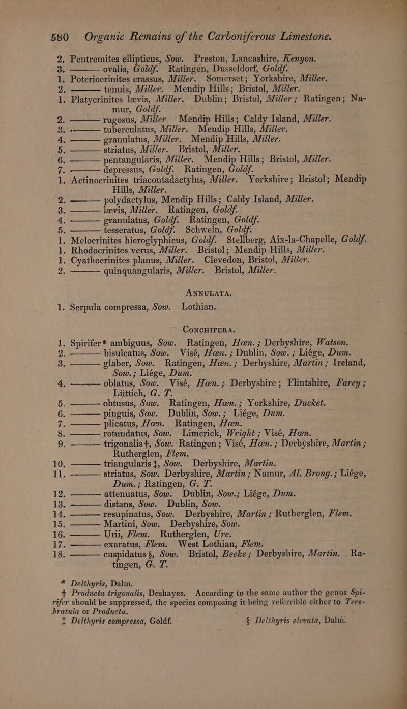 mi bo Ft Go bo pers og Sao tn bo ptt ms ox HB G9 BS 9 OE Se eee pd eee ovalis, Goldf. Ratingen, Dusseldorf, Goldf. tenuis, Miller. Mendip Hills; Bristol, Midler. mur, Goldf. rugosus, Miller. Mendip Hills; Caldy Island, Miller. tuberculatus, Miller. Mendip Hills, Miller. granulatus, Miller. Mendip Hills, Miller. striatus, Miller. Bristol, Miller. pentangularis, Miller. Mendip Hills; Bristol, Miller. depressus, Goldf. Ratingen, Goldf. Actinocrinites triacontadactylus, Miller. Yorkshire; Bristol; Mendip Hills, Miller. polydactylus, Mendip Hills; Caldy Island, Miller. ——— levis, Miller. Ratingen, Goldf. granulatus, Goldf. Ratingen, Goldf. tesseratus, Goldf. Schweln, Goldf. Melocrinites hieroglyphicus, Goldf. Stellberg, Aix-la-Chapelle, Goldy. Rhodocrinites verus, Miller. Bristol; Mendip Hills, Mller. quinquangularis, Miller. Bristol, Miller. ANNULATA., CoNCHIFERA. bisulcatus, Sow. Visé, Hen. ; Dublin, Sow. ; Liége, Dum. glaber, Sow. Ratingen, Hen. ; Derbyshire, Martin ; Ireland, Sow.; Liége, Dum. — oblatus, Sow. Visé, Han. ; Derbyshire; Flintshire, Farey ; Liittich, G. 7. obtusus, Sow. Ratingen, Hen. ; Yorkshire, Ducket. pinguis, Sow. Dublin, Sow.; Liége, Dum. plicatus, Han. Ratingen, Hen. rotundatus, Sow. Limerick, Wright ; Visé, Hen. trigonalis +, Sow. Ratingen ; Visé, Hon. ; Derbyshire, Martin ; Rutherglen, Fem. . triangularis {, Sow. Derbyshire, Martin. striatus, Sow. Derbyshire, Martin ; Namur, Al. Brong.; Liége, Dum.; Ratingen, G. 7. attenuatus, Sow. Dublin, Sow.; Liége, Dum. distans, Sow. Dublin, Sow. resupinatus, Sow. Derbyshire, Martin ; Rutherglen, Flem. Martini, Sow. Derbyshire, Sow. Urii, Flem. Rutherglen, Ure. exaratus, Flem. West Lothian, lem. cuspidatus §, Sow. Bristol, Beeke; Derbyshire, Martin. Ra- tingen, G. J. . —_—