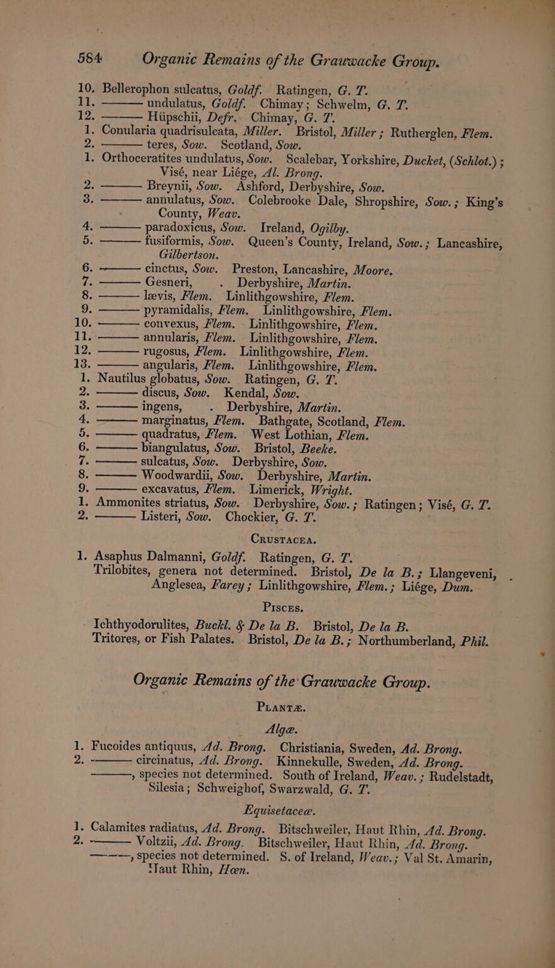 10, Bellerophon sulcatus, Goldf. Ratingen, G. 7. iT. undulatus, Goldf. Chimay; Schwelm, G. 7. 12 Hiipschii, Defr.. Chimay, G. 7. 1. Conularia quadrisuleata, Miller. Bristol, Miller ; Rutherglen, Flem. as teres, Sow. Scotland, Sow. 1. Orthoceratites undulatus, Sow. Scalebar, Yorkshire, Ducket, (Sehlot.) ; Visé, near Liége, Al. Brong. 2. Breynii, Sow. Ashford, Derbyshire, Sow. 3. annulatus, Sow. Colebrooke Dale, Shropshire, Sow. ; King’s County, Weav. 4, paradoxicus, Sow. Ireland, Ogilby. es fusiformis, Sow. Queen’s County, Ireland, Sow.; Lancashire, Gilbertson. 6. ———— cinctus, Sow. Preston, Lancashire, Moore. 7. Gesneri, - Derbyshire, Martin. 8. levis, Flem. Linlithgowshire, Flem. Ui. pyramidalis, Flem. Linlithgowshire, Flem. 10. convexus, /lem. - Linlithgowshire, Flem. 11. annularis, /lem. . Linlithgowshire, Flem. 12. rugosus, Flem. Linlithgowshire, Flem. 13. angularis, /lem. Linlithgowshire, Flem. 1. Nautilus globatus, Sow. Ratingen, G. 7. 2. discus, Sow. Kendal, Sow. 3. ingens, - Derbyshire, Martin. 4, marginatus, Flem. Bathgate, Scotland, Flem. 5. quadratus, lem. West Lothian, Flem. 6. biangulatus, Sow. Bristol, Beeke. 7. sulcatus, Sow. Derbyshire, Sow. 8. Woodwardii, Sow. Derbyshire, Martin. 5 excavatus, Mem. Limerick, Wright. 1. Ammonites striatus, Sow. Derbyshire, Sow. ; Ratingen ; Visé, G. 7’. 2. Listeri, Sow. Chockier, G. 7. | I aed CRUSTACEA, Trilobites, genera not determined. Bristol, De la B.; Llangeveni, Anglesea, Farey ; Linlithgowshire, Flem. ; Liége, Dum. Piscrs. Ichthyodorulites, Buckl. § De la B. Bristol, De la B. Tritores, or Fish Palates. Bristol, De la B. ; Northumberland, Phil. Organic Remains of the'Grawwacke Group. PLantzZ. Alge. circinatus, 4d. Brong. Kinnekulle, Sweden, Ad. Brong. , Species not determined. South of Ireland, Weav. ; Rudelstadt, Silesia; Schweighof, Swarzwald, G. 7. Equisetacee. —-——, species not determined. S. of Ireland, Weav.; Val St. Amarin, ‘aut Rhin, Hen.
