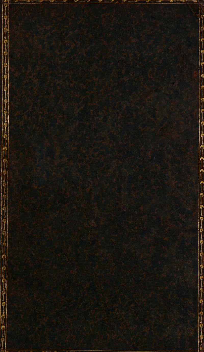 TEE Te Se EEE ee EC —> : ne e—E-E-—E-- EC Éé—C—E— DE - P.