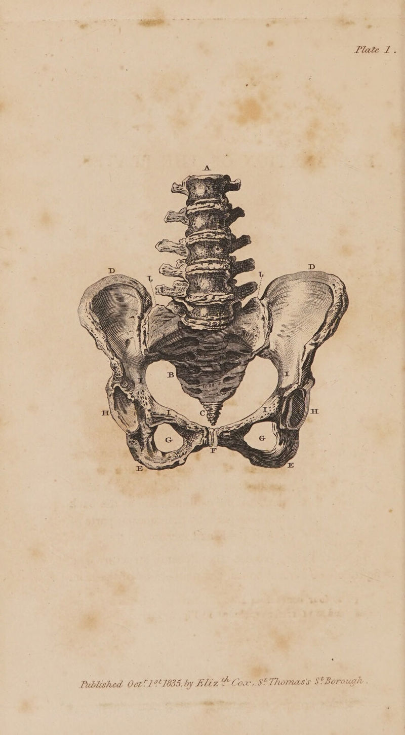 Pie 7. Published Oct!1 $1635, by Fltz th Cox, St Thomas S* Borough